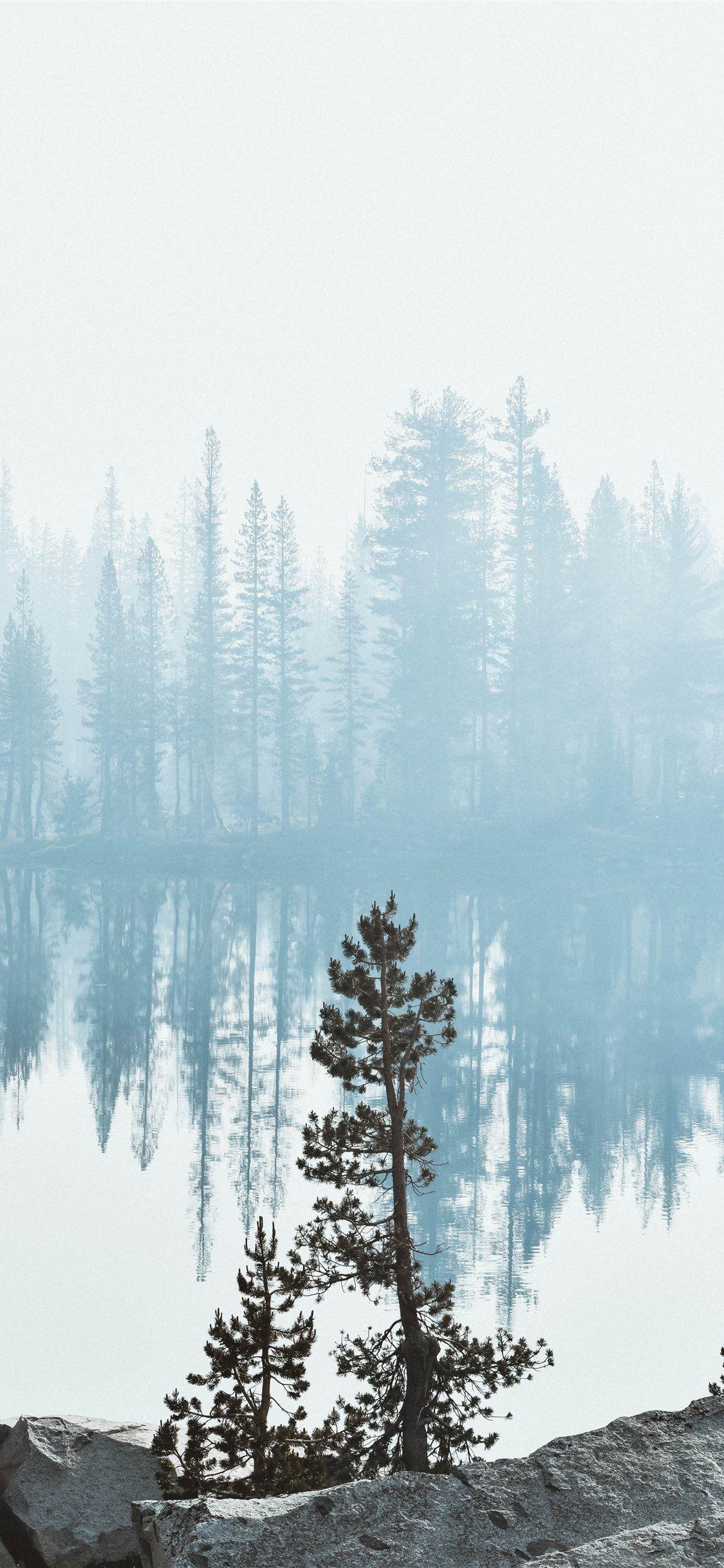 1125x2436 Best backpacking iPhone X Wallpaper HD