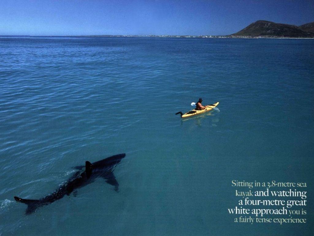 1024x768 Kayaking In South Africa And Coasts Wallpaper