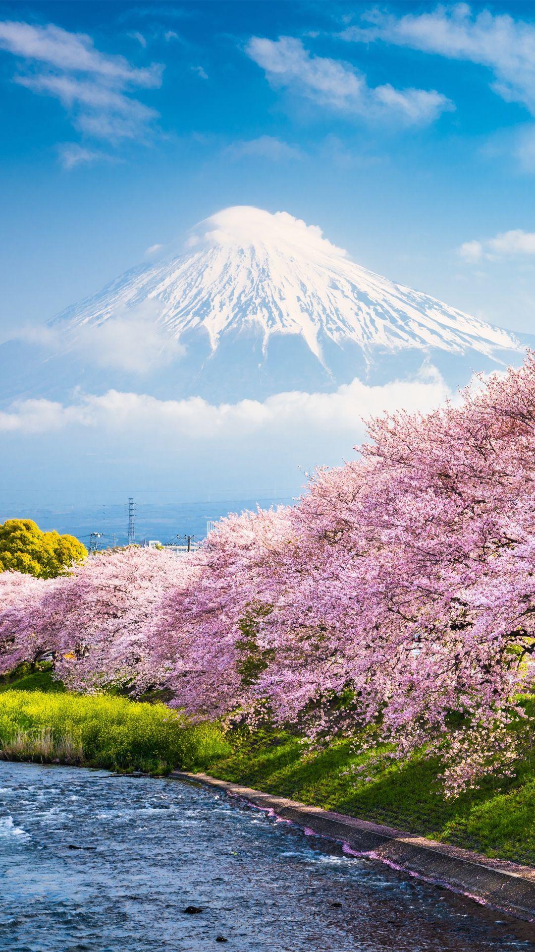 Japanese Castle Cherry Blossom Mountain Art 4K Wallpaper iPhone HD Phone  #7021k