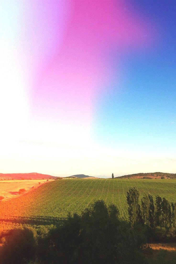 736x1103 Hipster iPhone Wallpaper