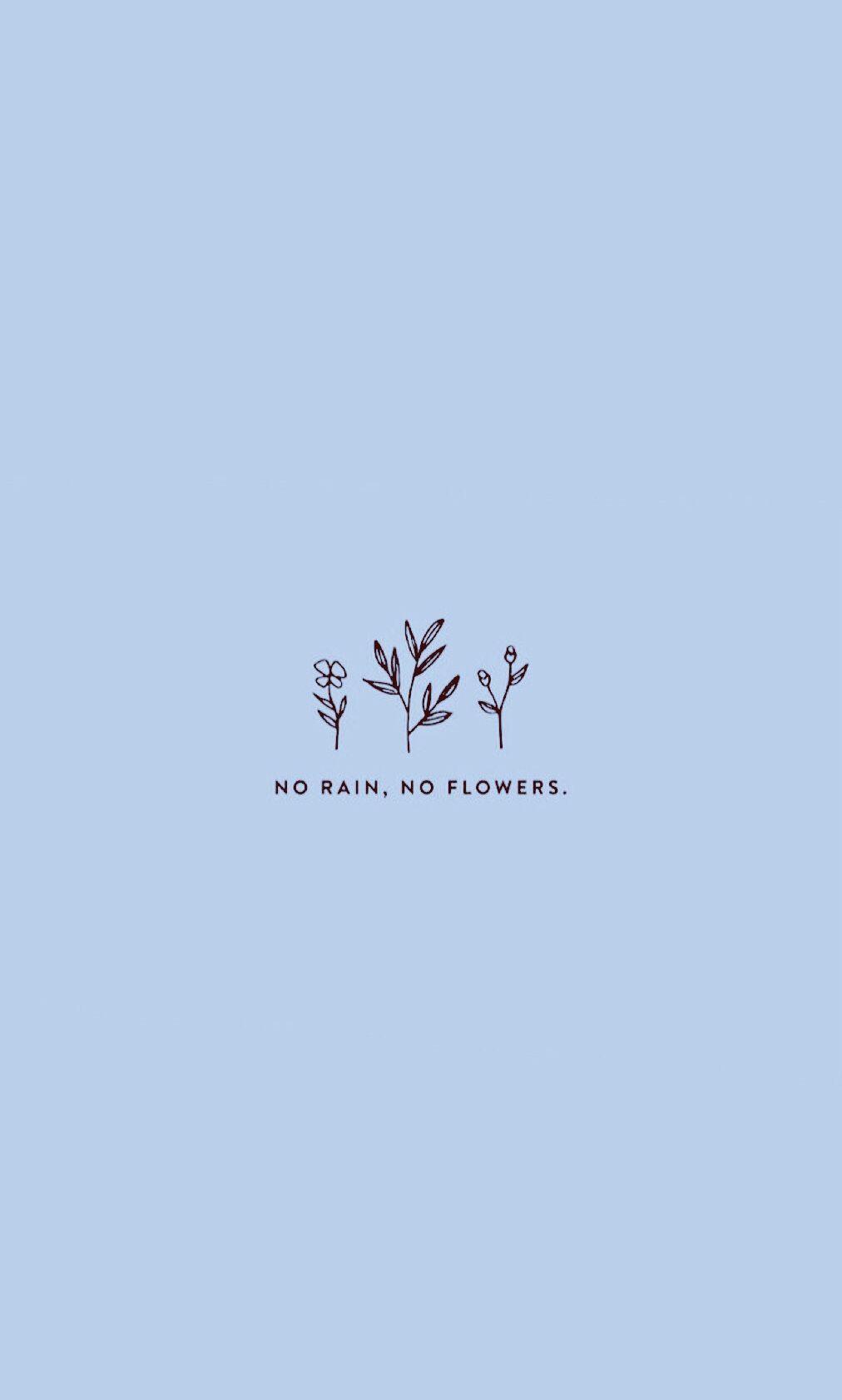 No Rain No Flowers Wallpapers - Top Free No Rain No Flowers Backgrounds