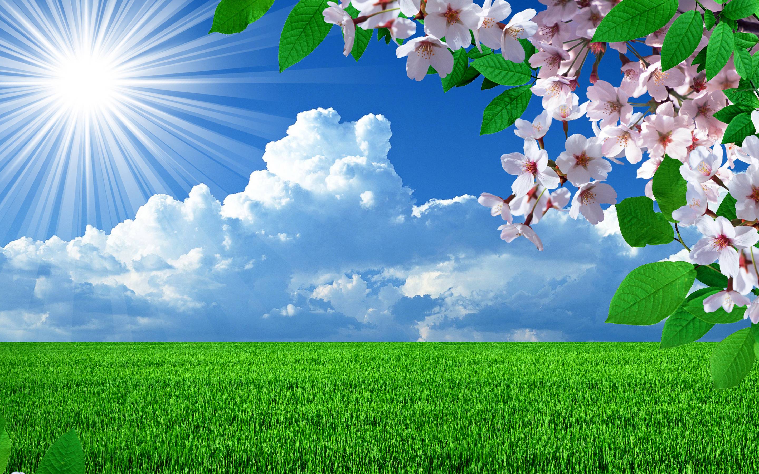 Spring Weather Wallpapers - Top Free Spring Weather Backgrounds -  WallpaperAccess