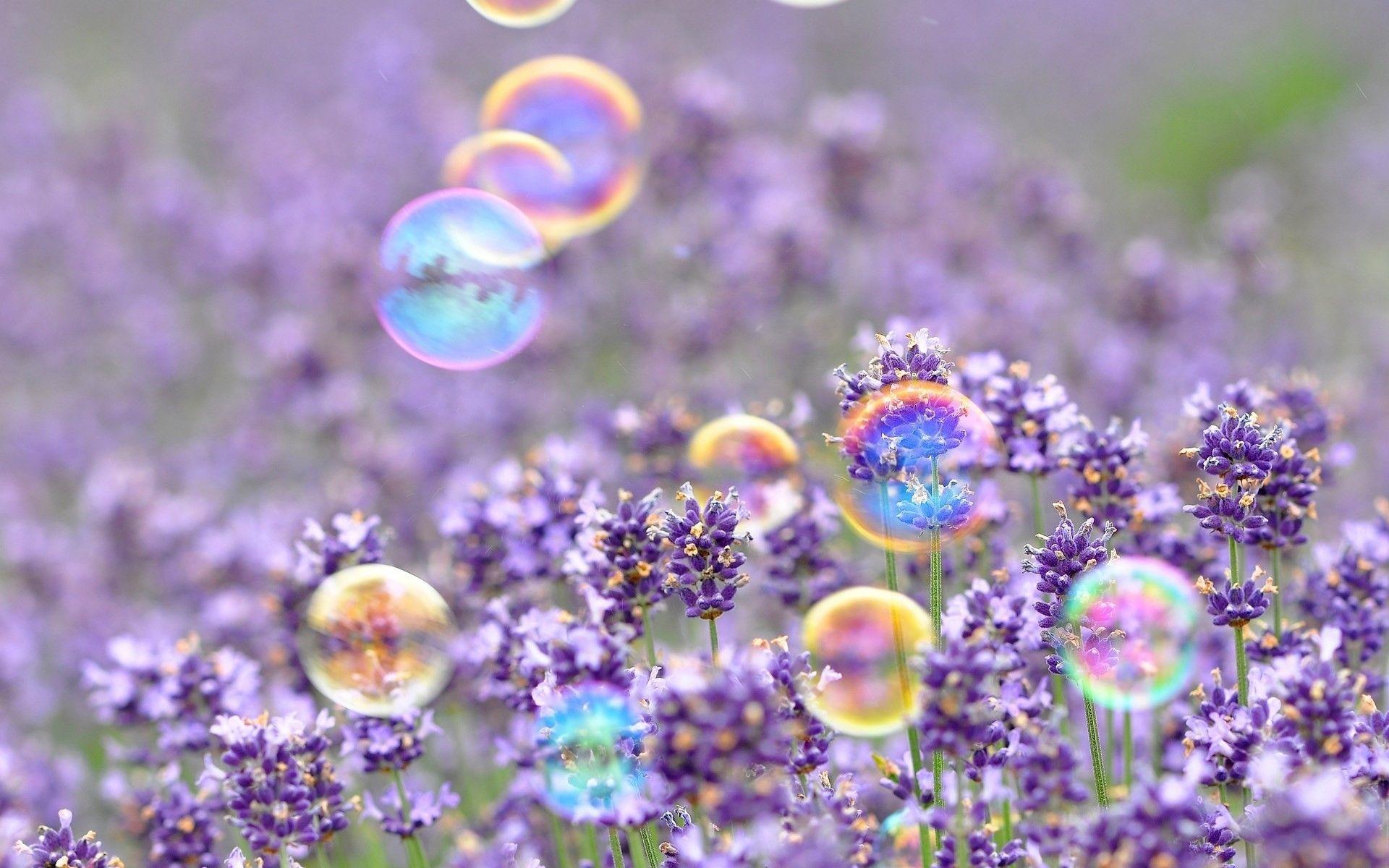 1920x1200 Springtime Wallpaper
