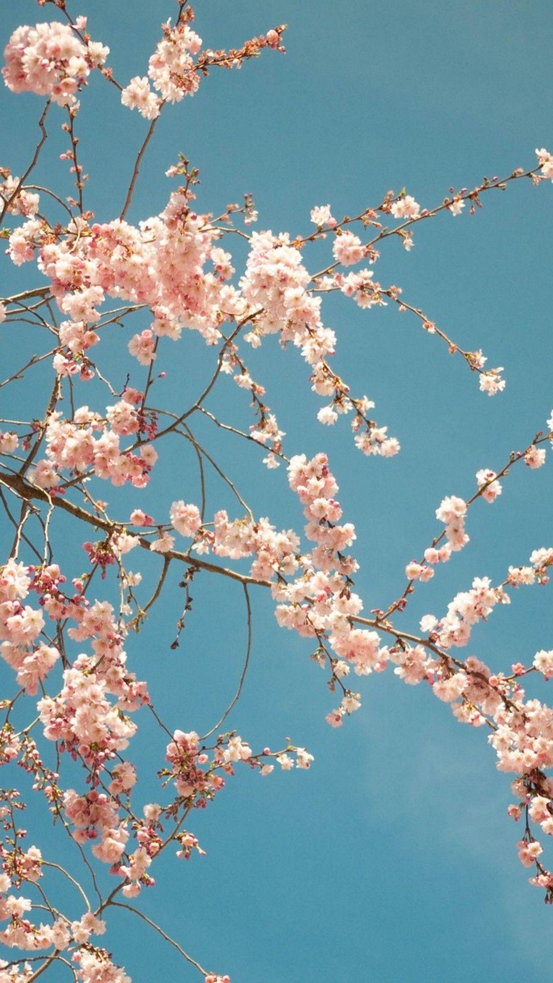 1080x1920 Spring 2020 HD Wallpaper