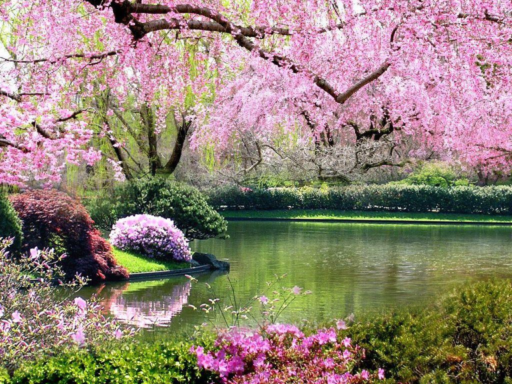 Cute Springtime Wallpapers - Top Free Cute Springtime Backgrounds ...