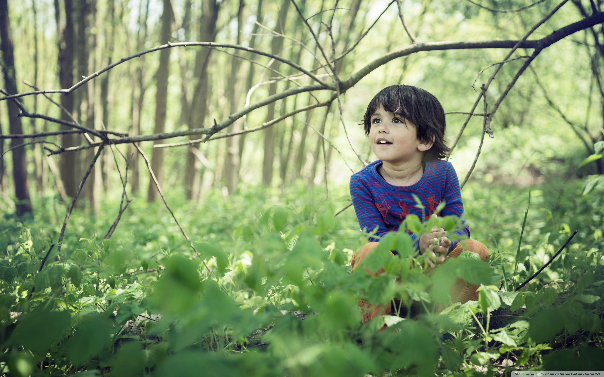 2560x1600 Cute Child Boy, Forest, Springtime Ultra HD Desktop Background