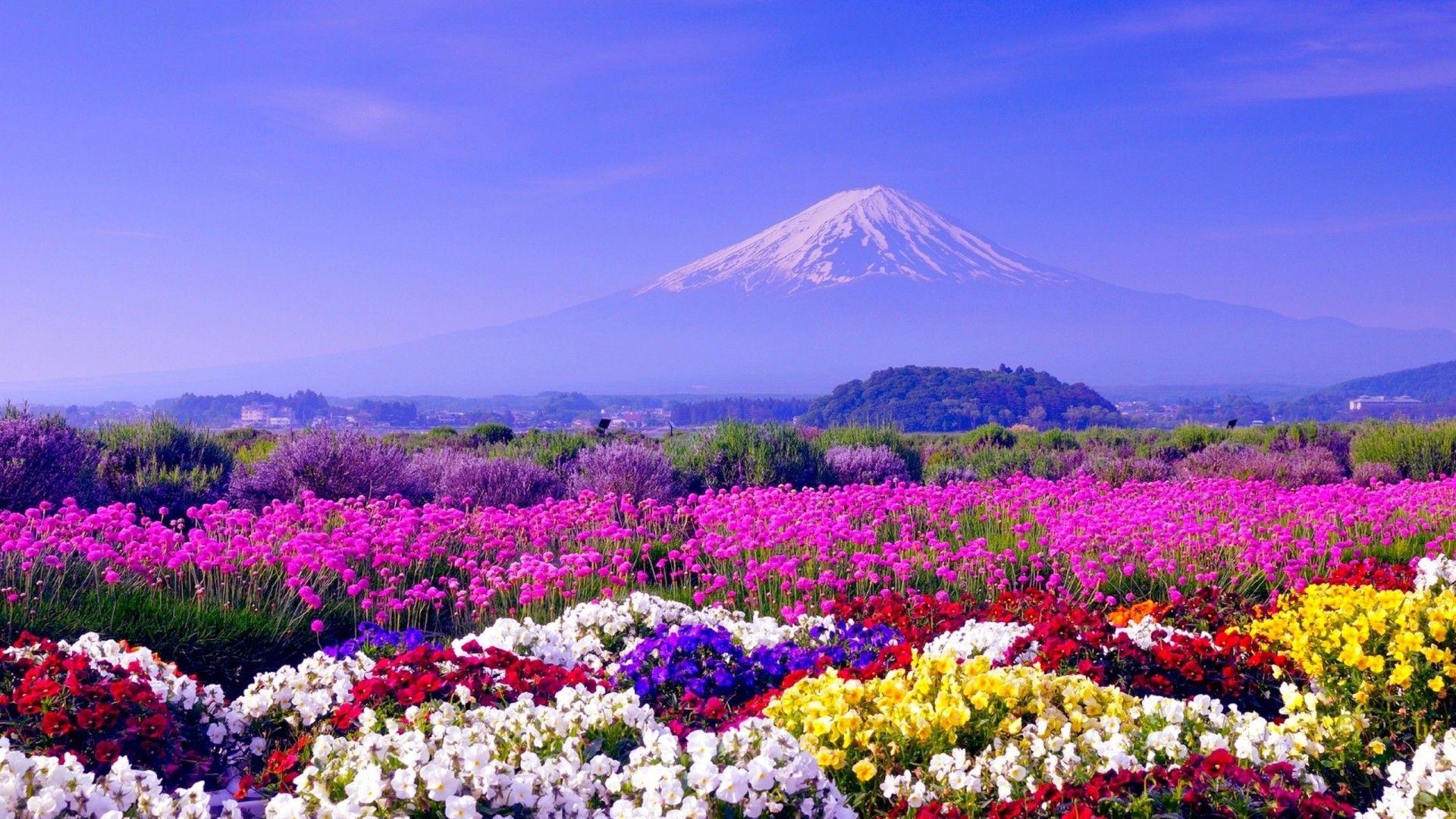1920x1080 Spring Wallpaper HD