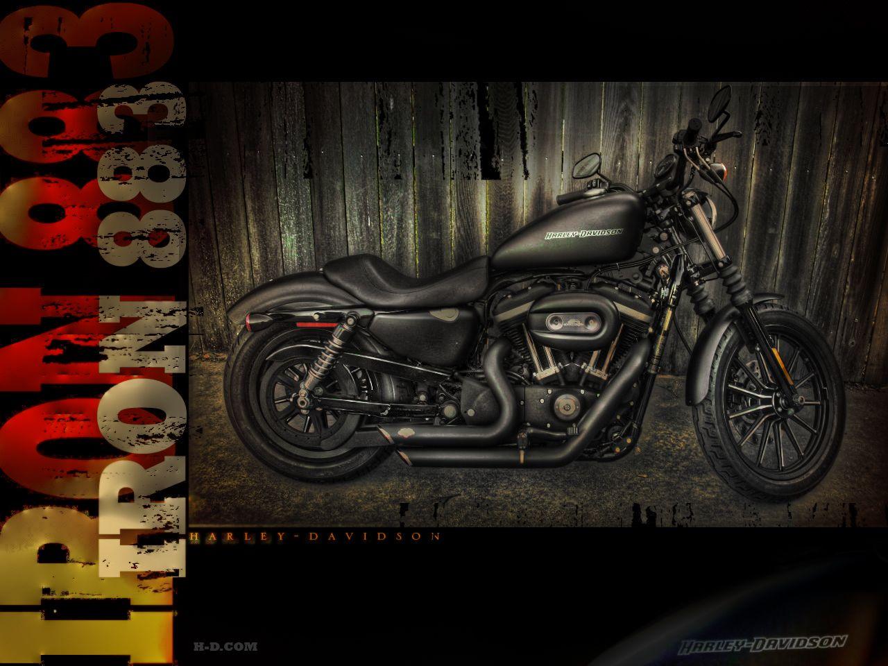 1280x960 image of Harley Iron 883 Wallpaper - #FAN