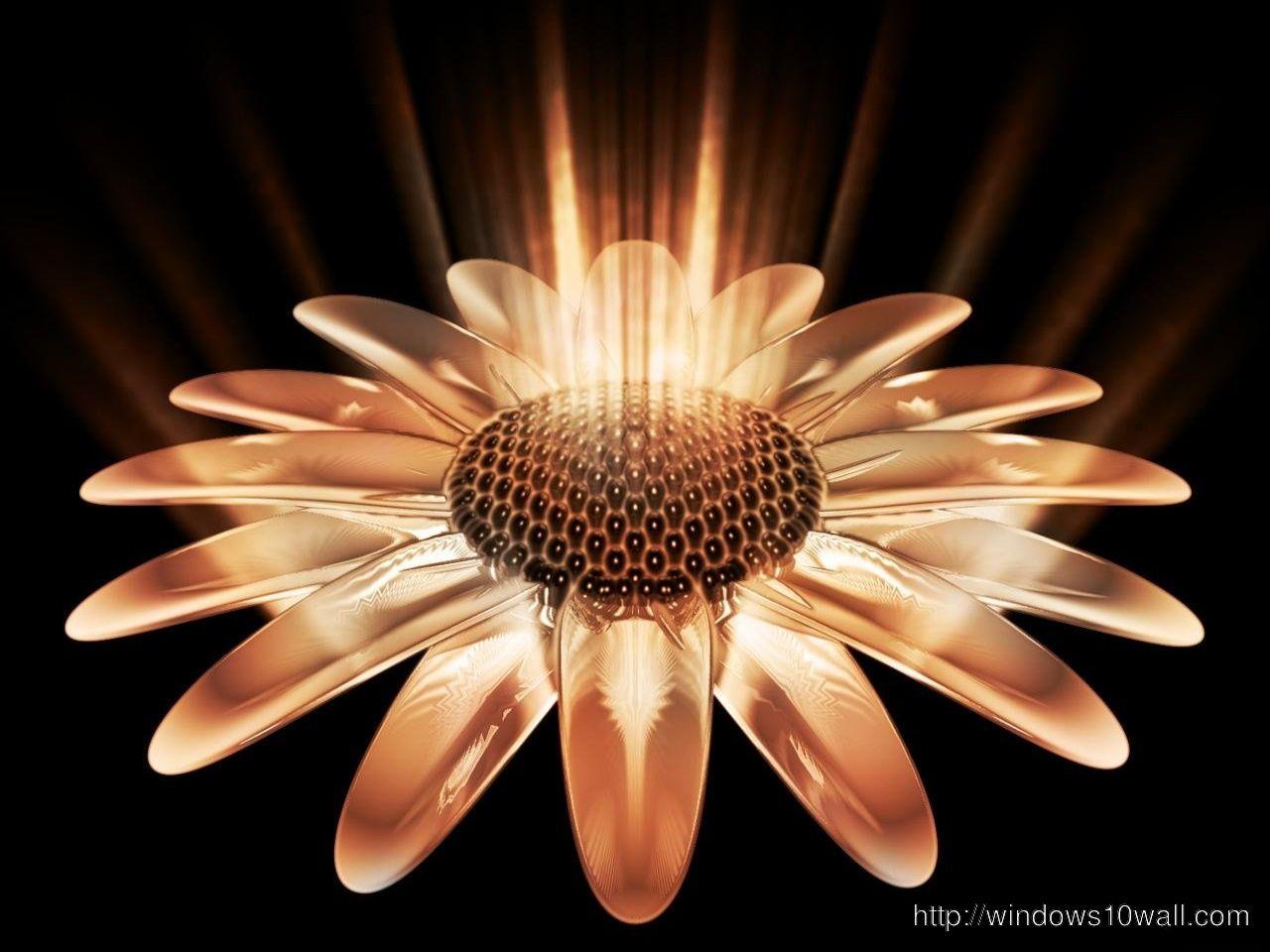 1280x960 Abstract Sunflower Wallpaper