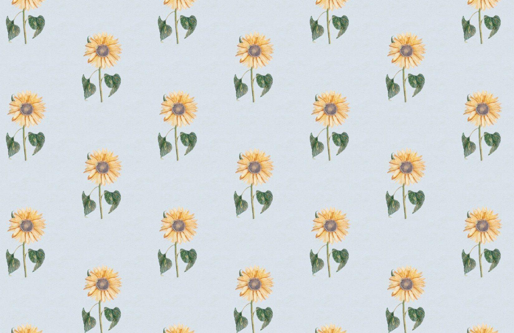 1650x1070 Yellow & Blue Vintage Sunflower Wallpaper Mural