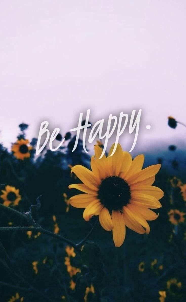 735x1191 Beautiful Sunflower Wallpaper for iPhone. Sunflower wallpaper