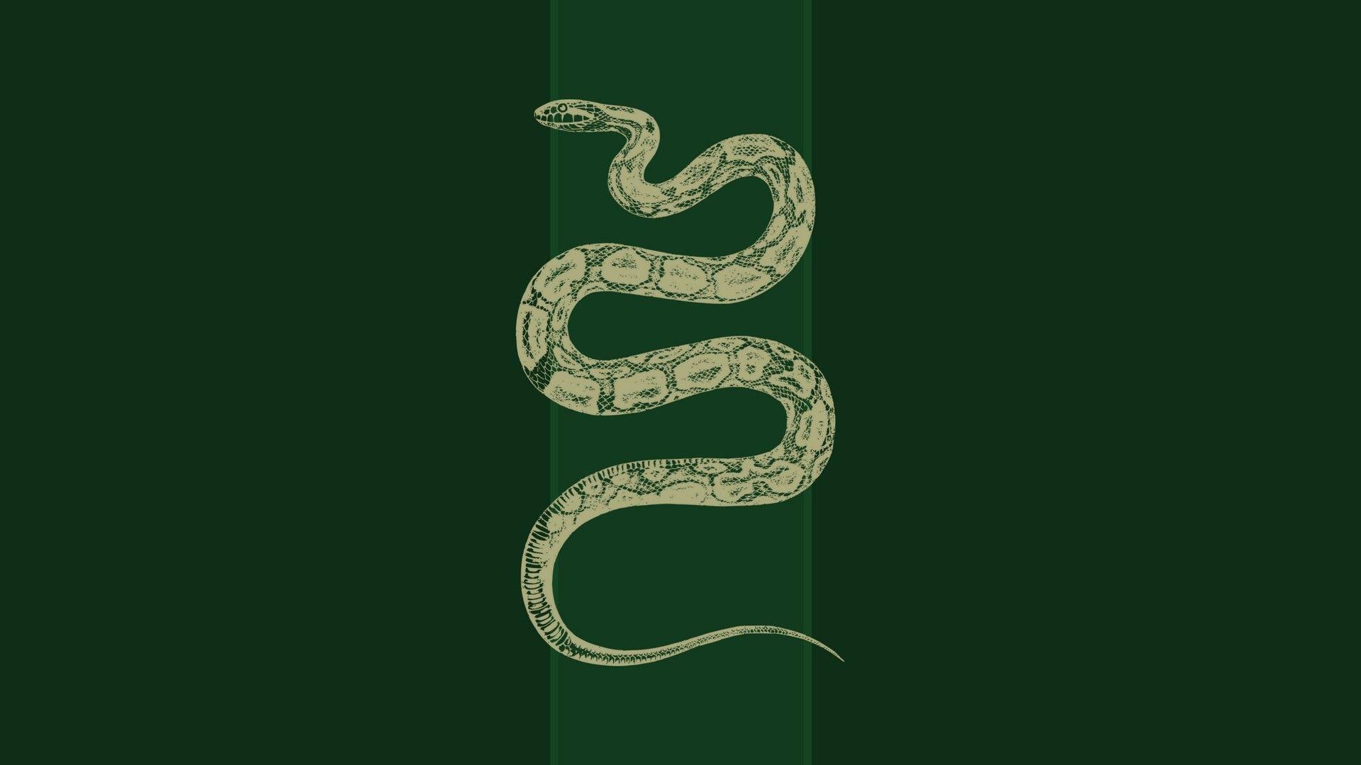 1920x1080 Slytherin House Wallpaper