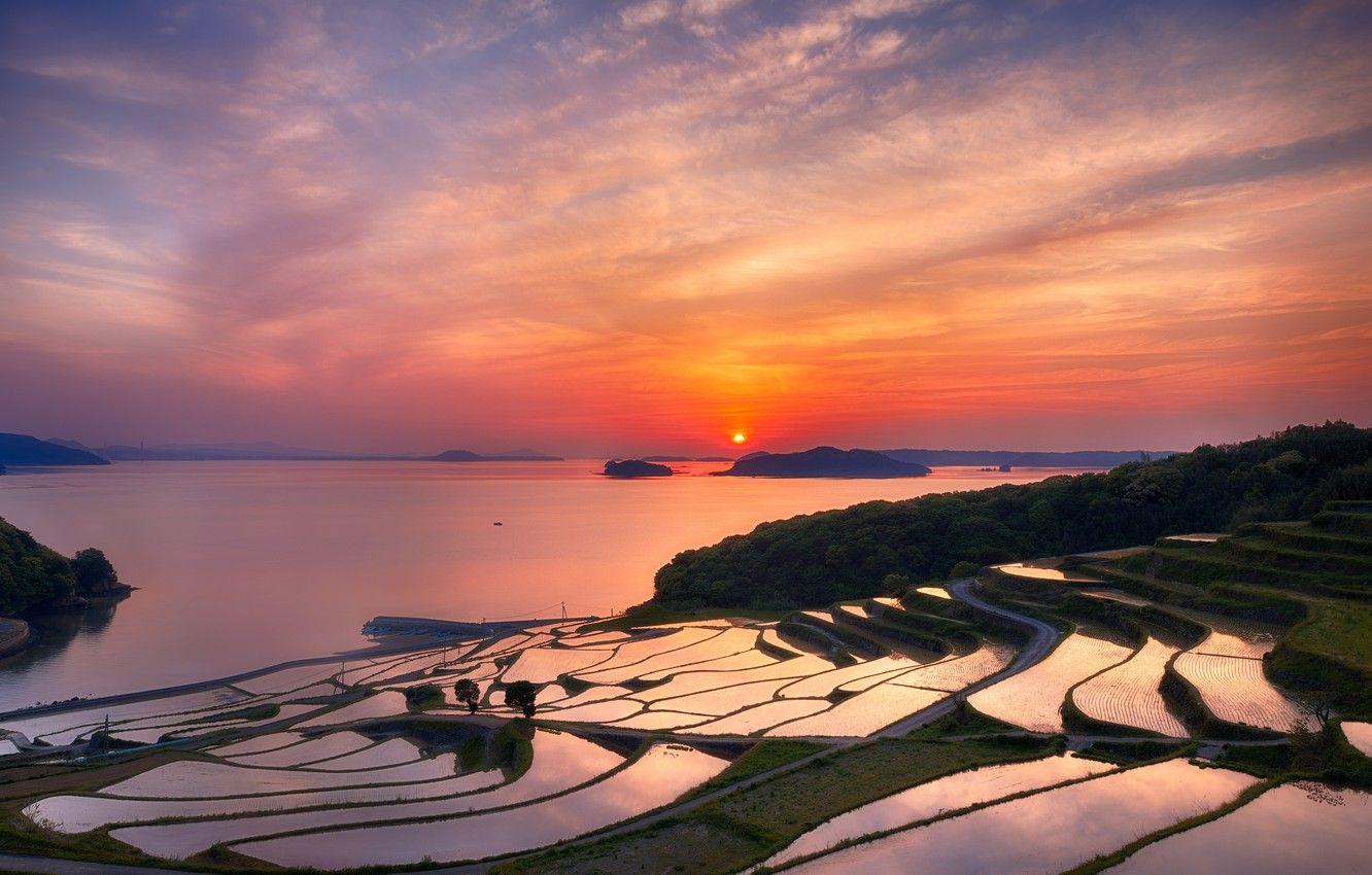 Japanese Sunset Hd Wallpapers Top Free Japanese Sunse - vrogue.co