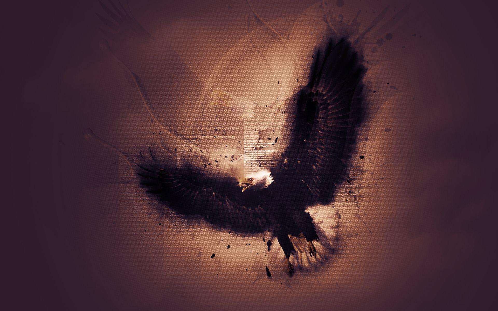 1920x1200 eagles artwork bald eagles 1920x1200 wallpaper High Quality