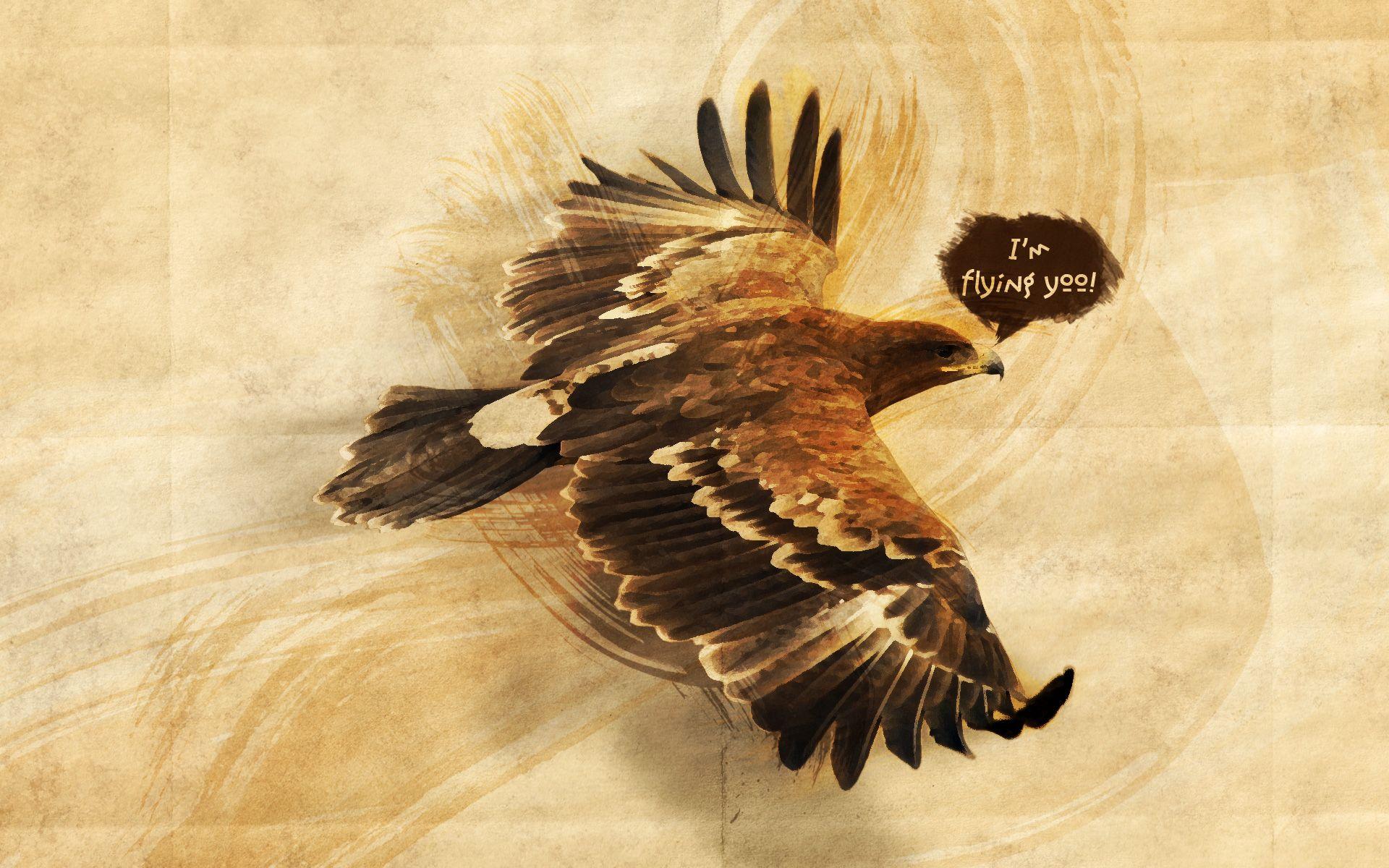1920x1200 Desktop photo eagle flying