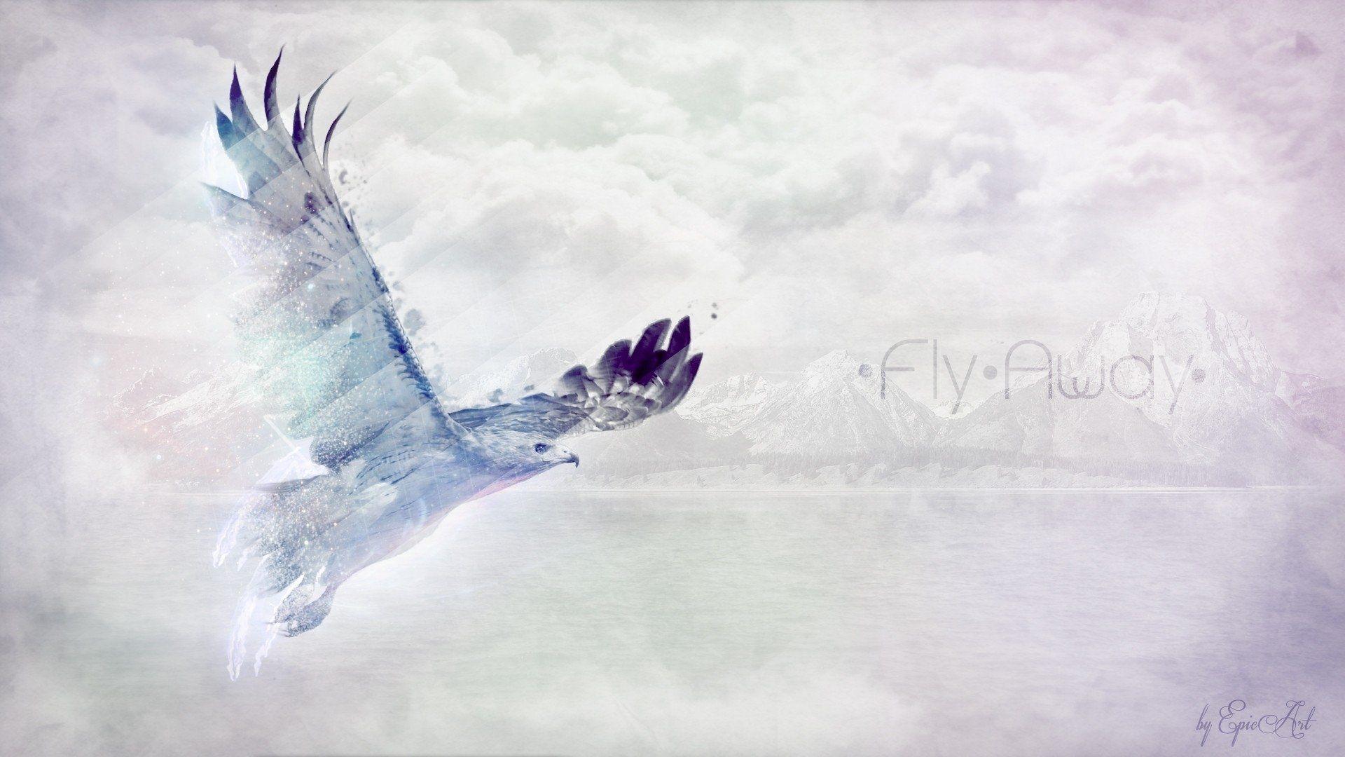 1920x1080 Eagle HD Wallpaper