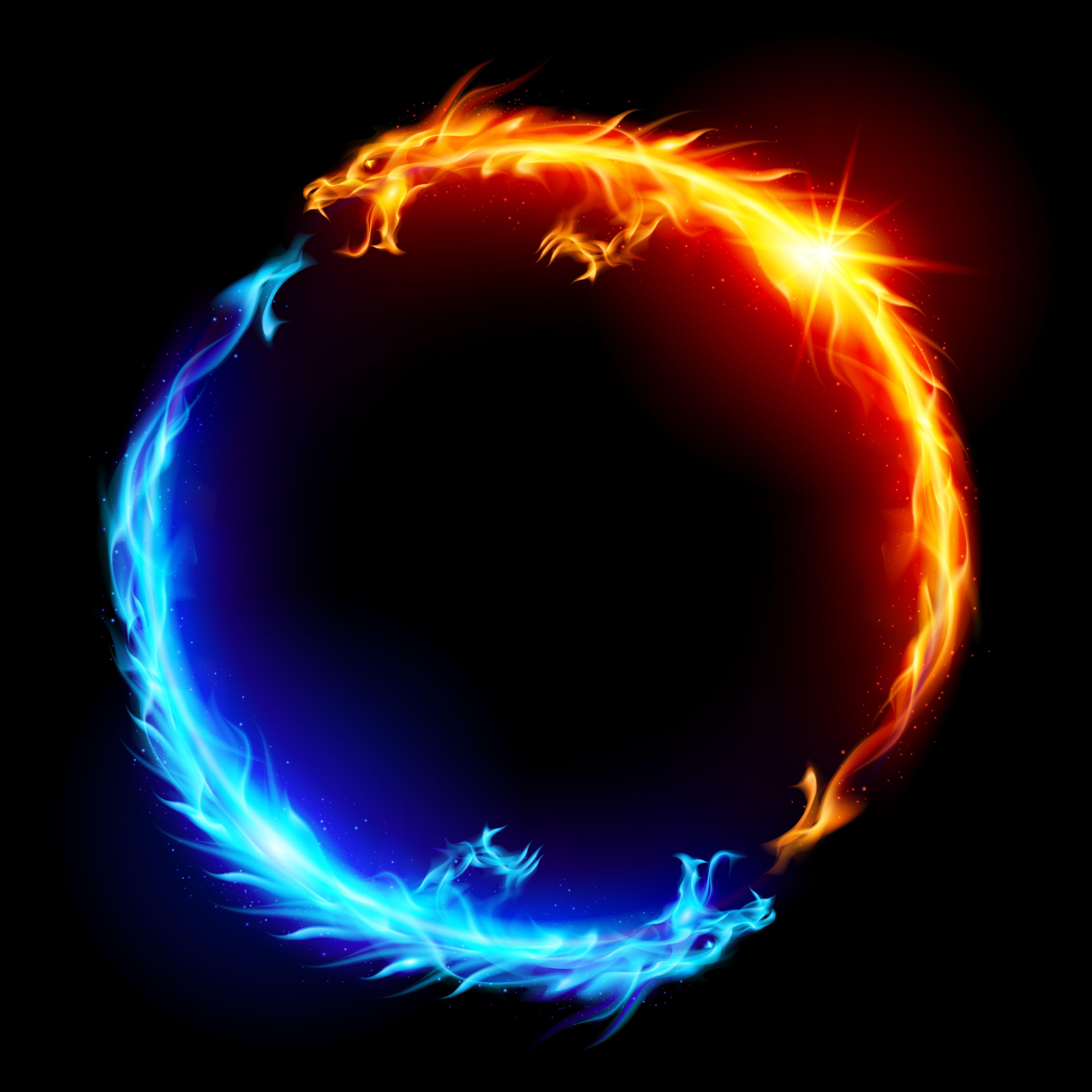 5000x5000 Free download Blue and red fire Dragons Stephen Josephs 5000x5000