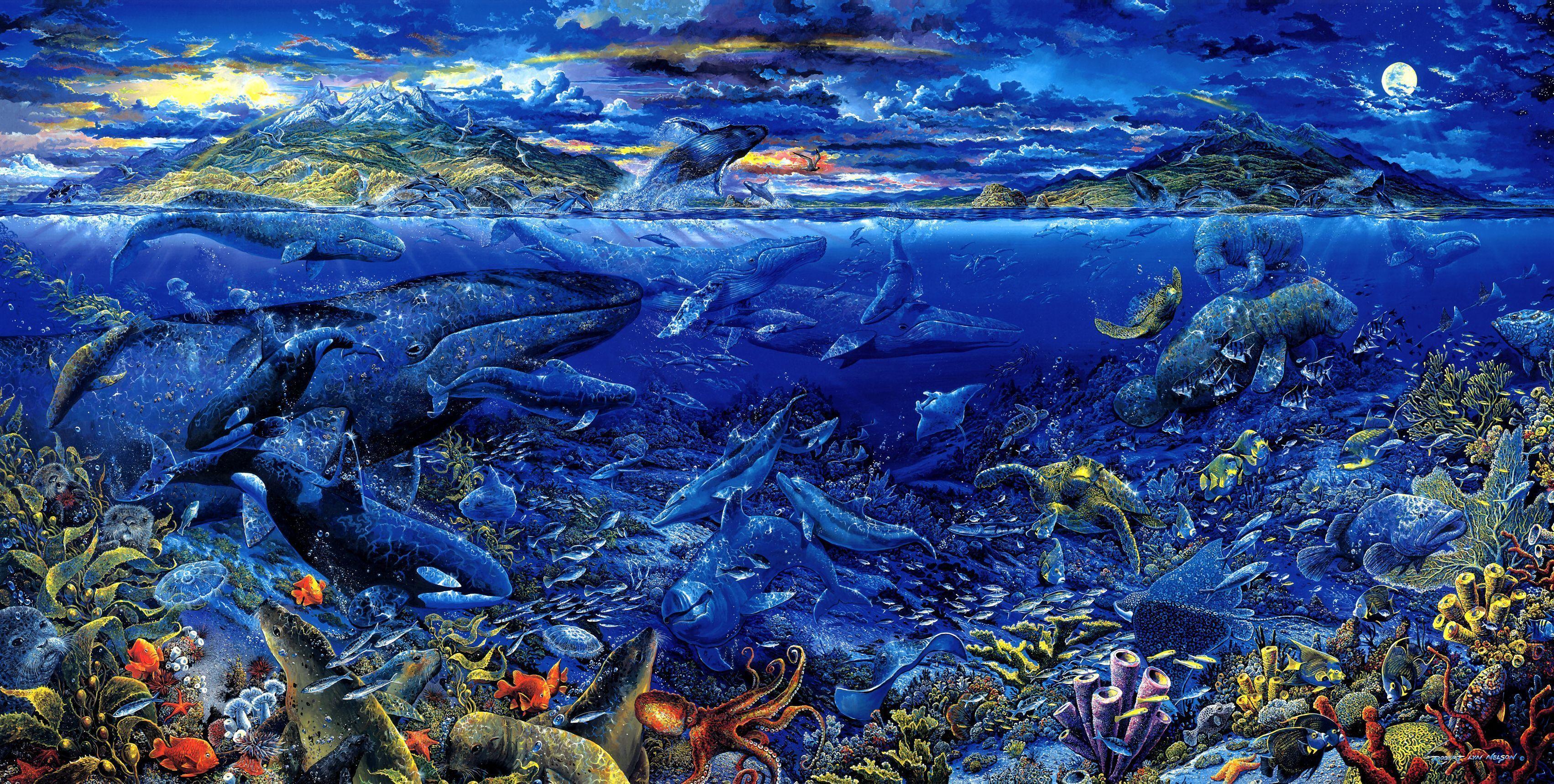 3405x1718 Sea Life HD Wallpaper. Background .wall.
