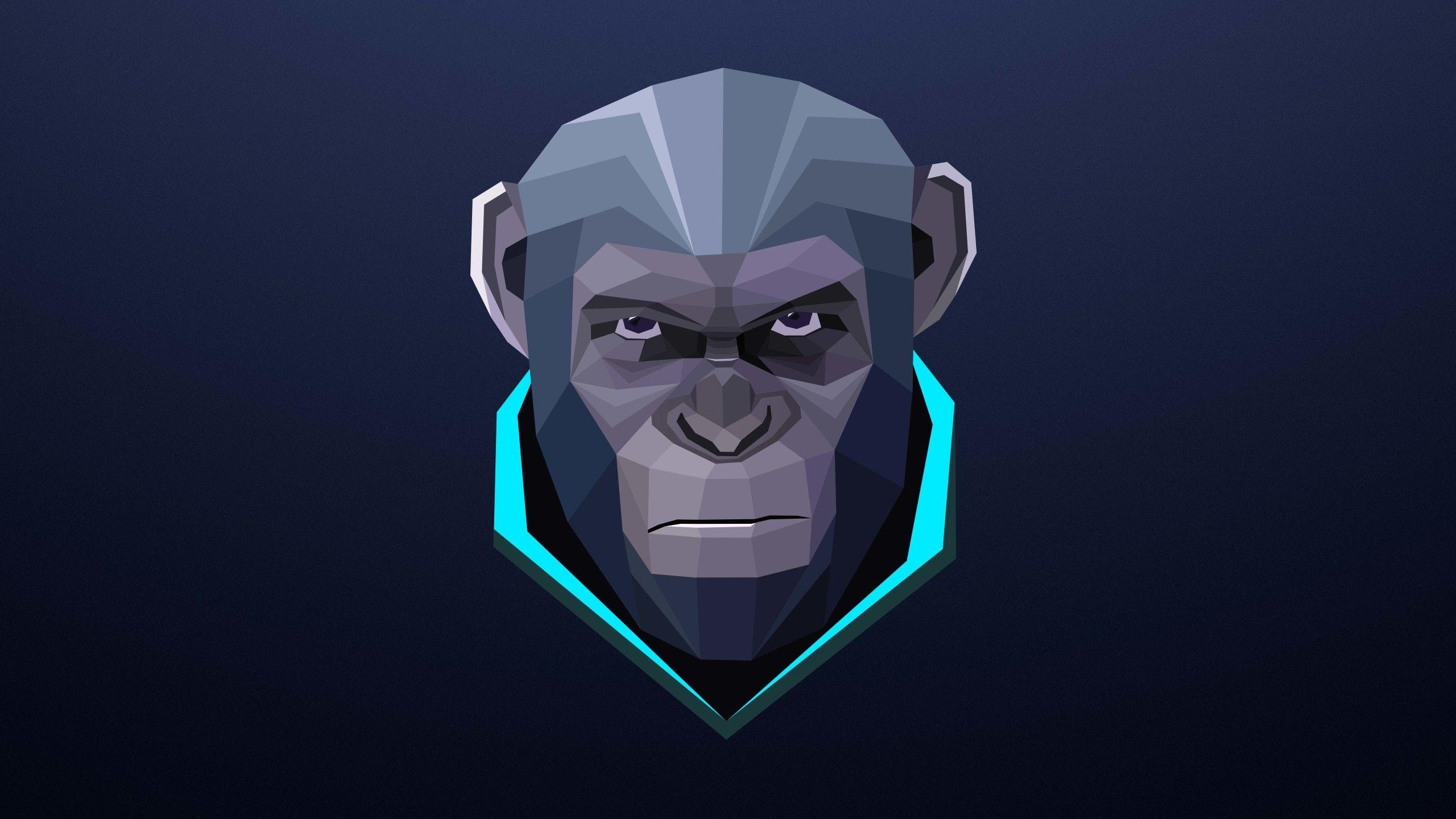 2560x1440 Monkey Minimalism 8k 1440P Resolution HD 4k Wallpaper