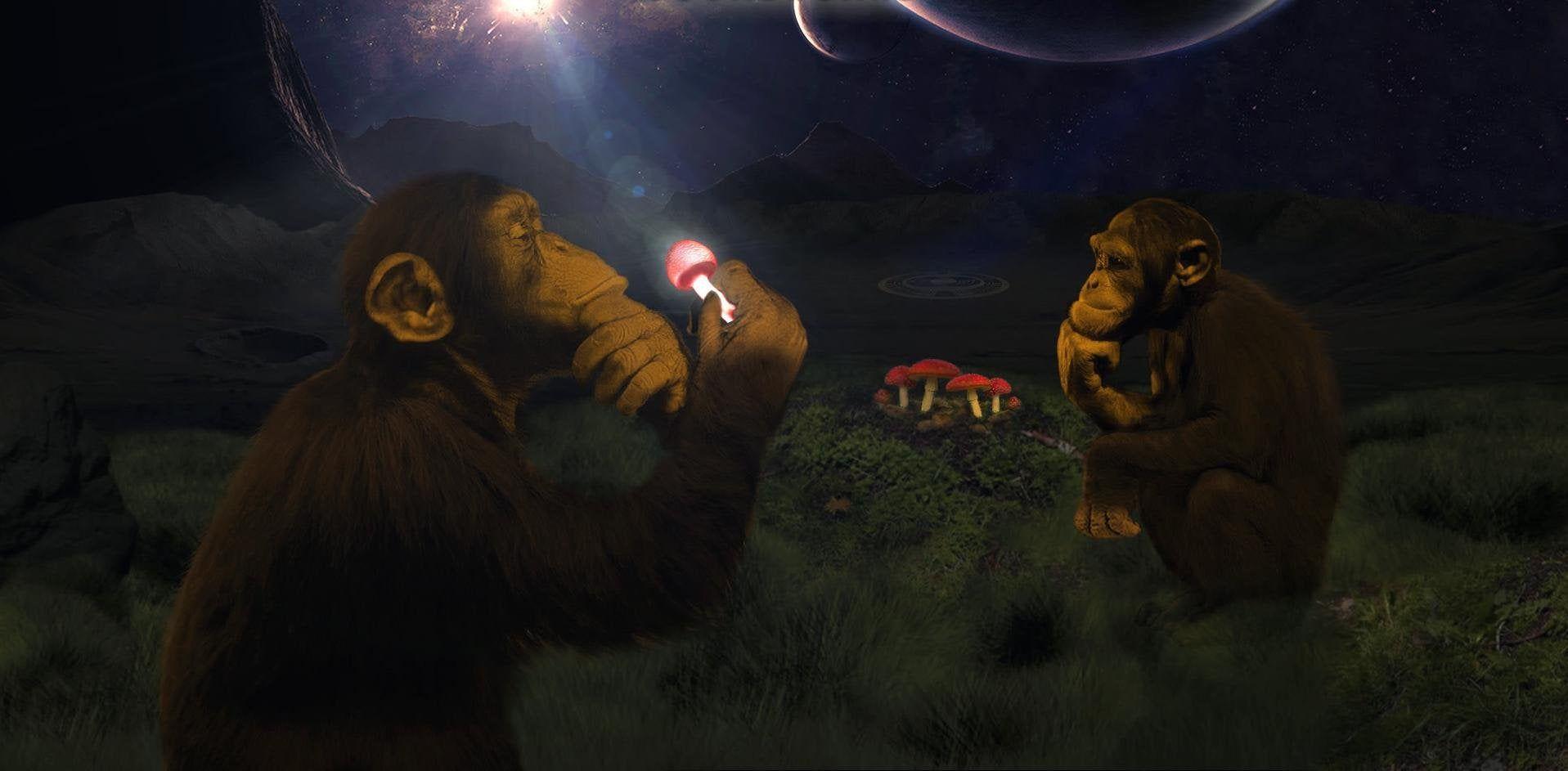 1917x943 Found This On R Wallpaper. Monkey To Man