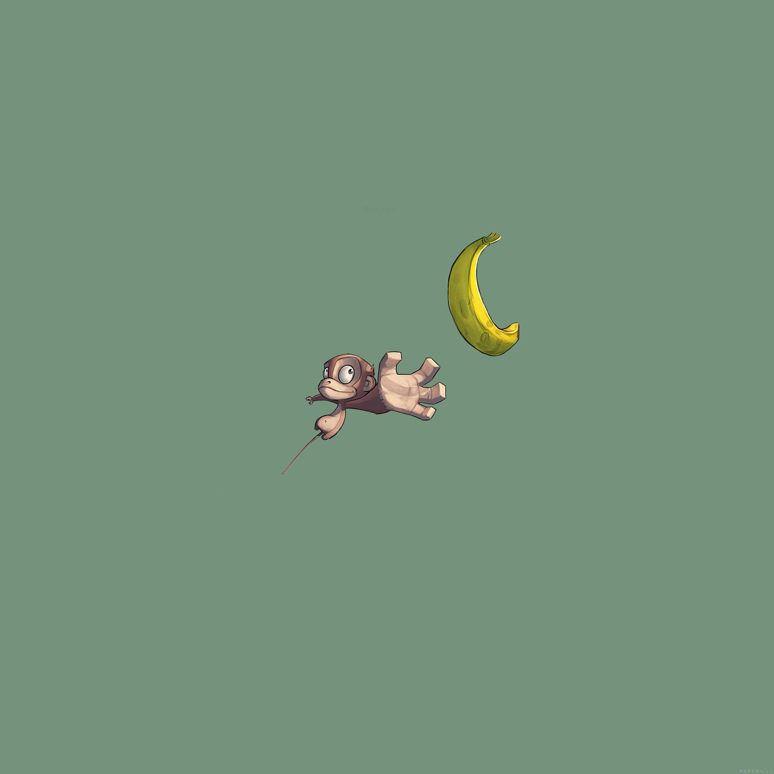 2524x2524 Illustrated animal kingdom wallpaper for iPad and iPhone