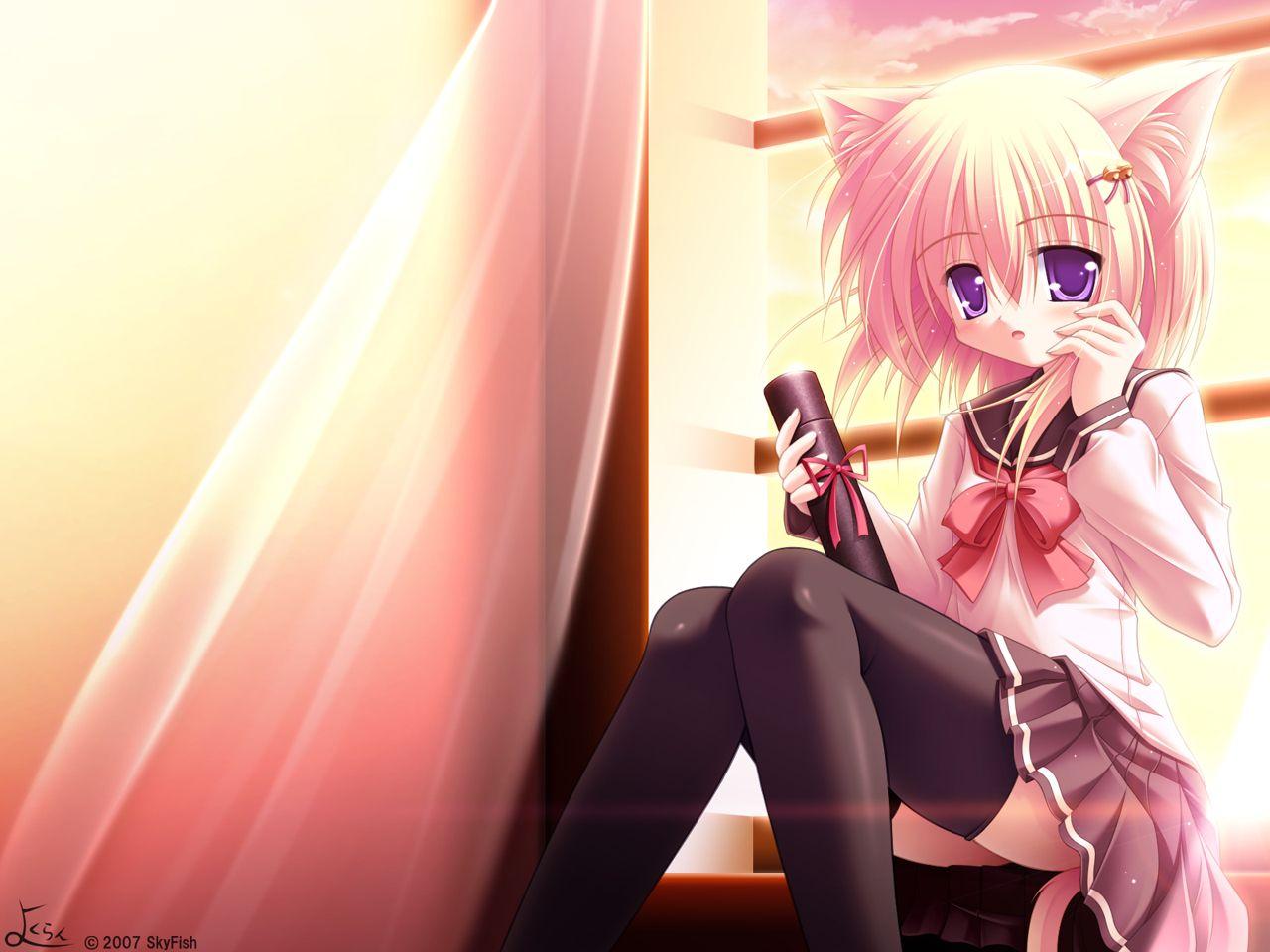 1280x960 Neko Girl Neko Anime Girls Wallpaper