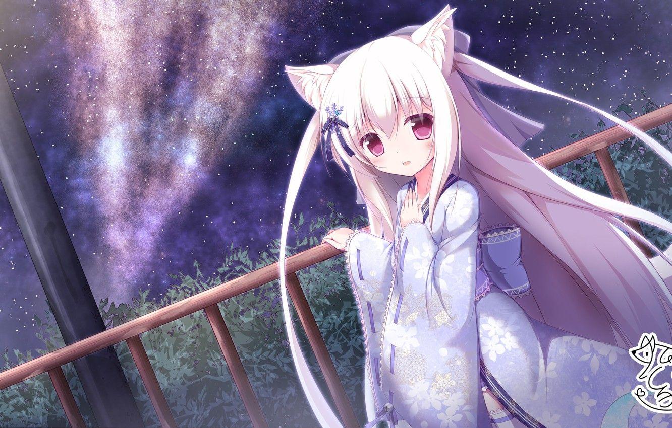 1332x850 Photo Wallpaper Night, Girl, Neko Neko Girl