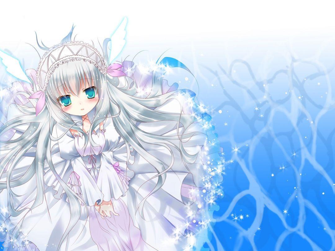 1080x810 Anime Cat Girl, iPhone, Desktop HD Background