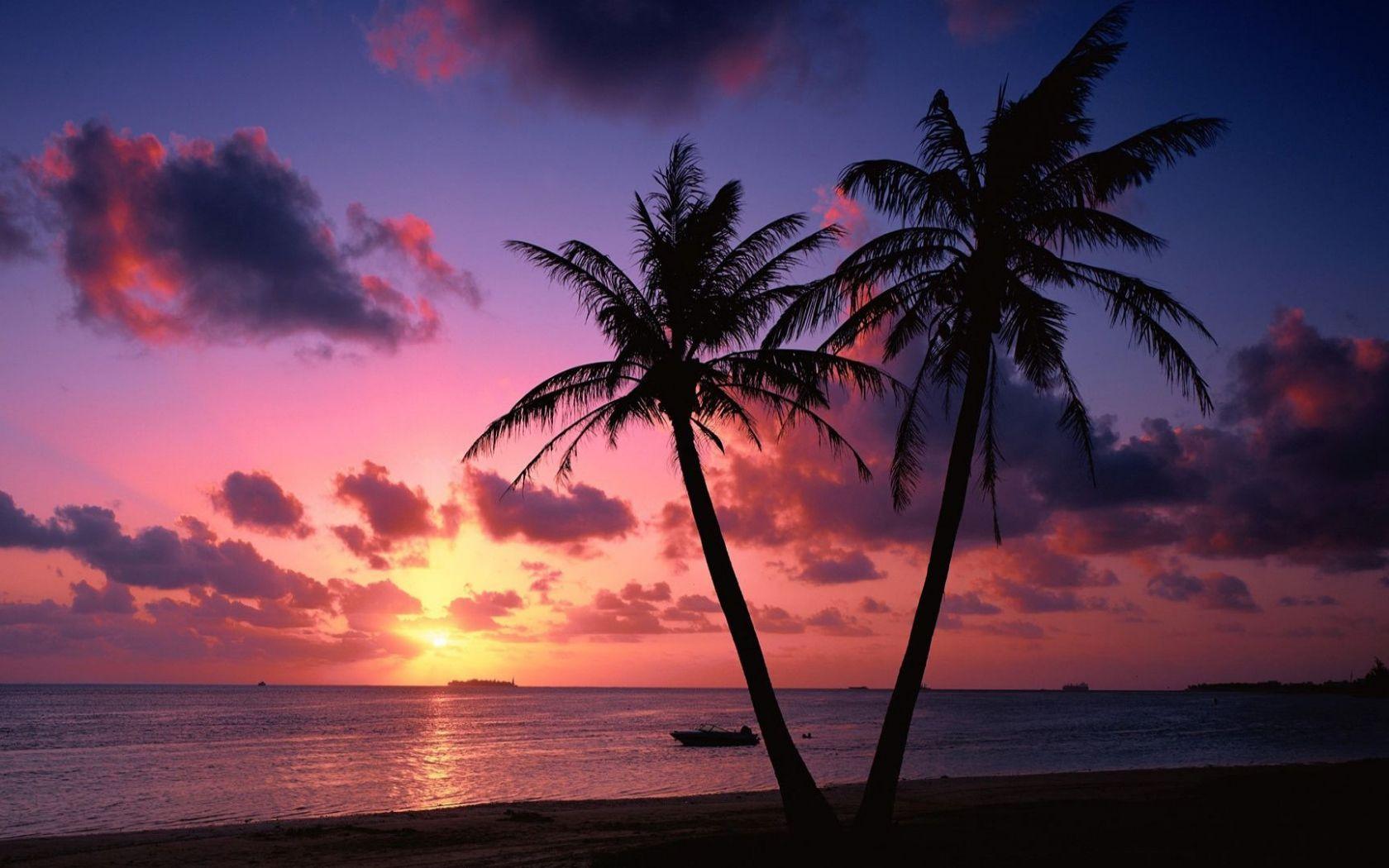 1680x1050 Free download Tropical sunset Widescreen Wallpaper 2968 1920x1080