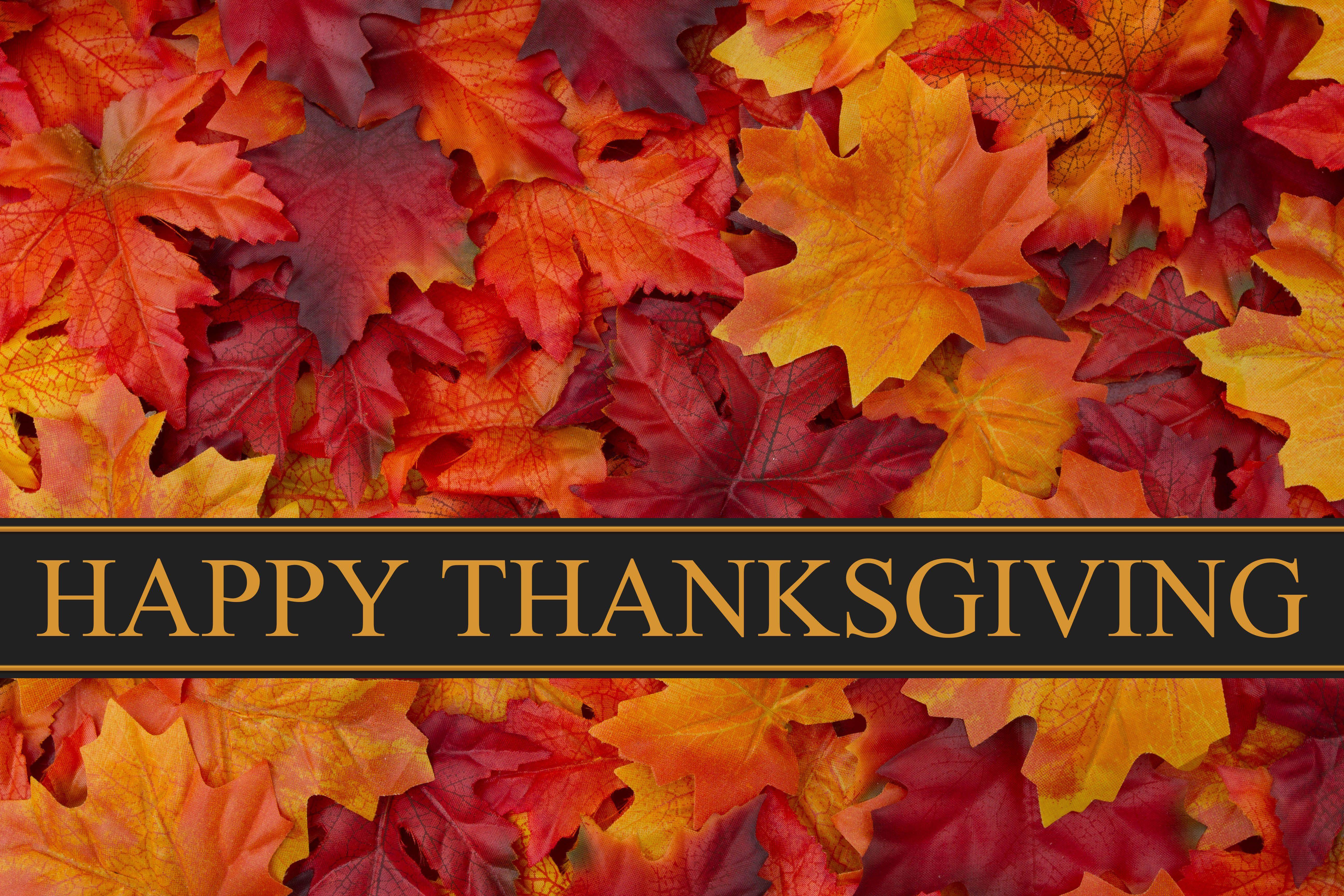 5184x3456 Happy Thanksgiving Day Leaves HD Pc Background Wallpaper