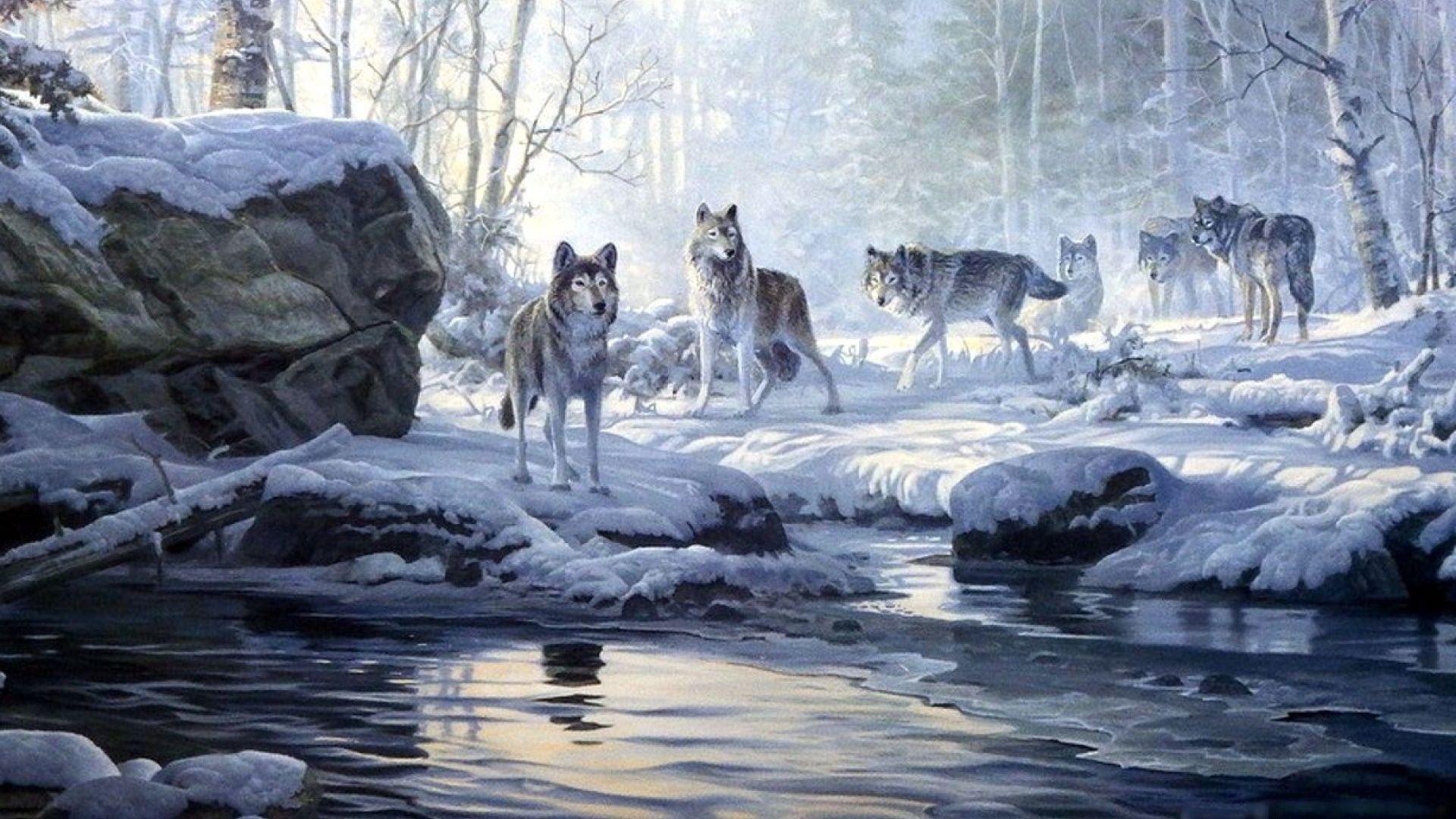 1920x1080 Winter Wallpaper 1920x1080