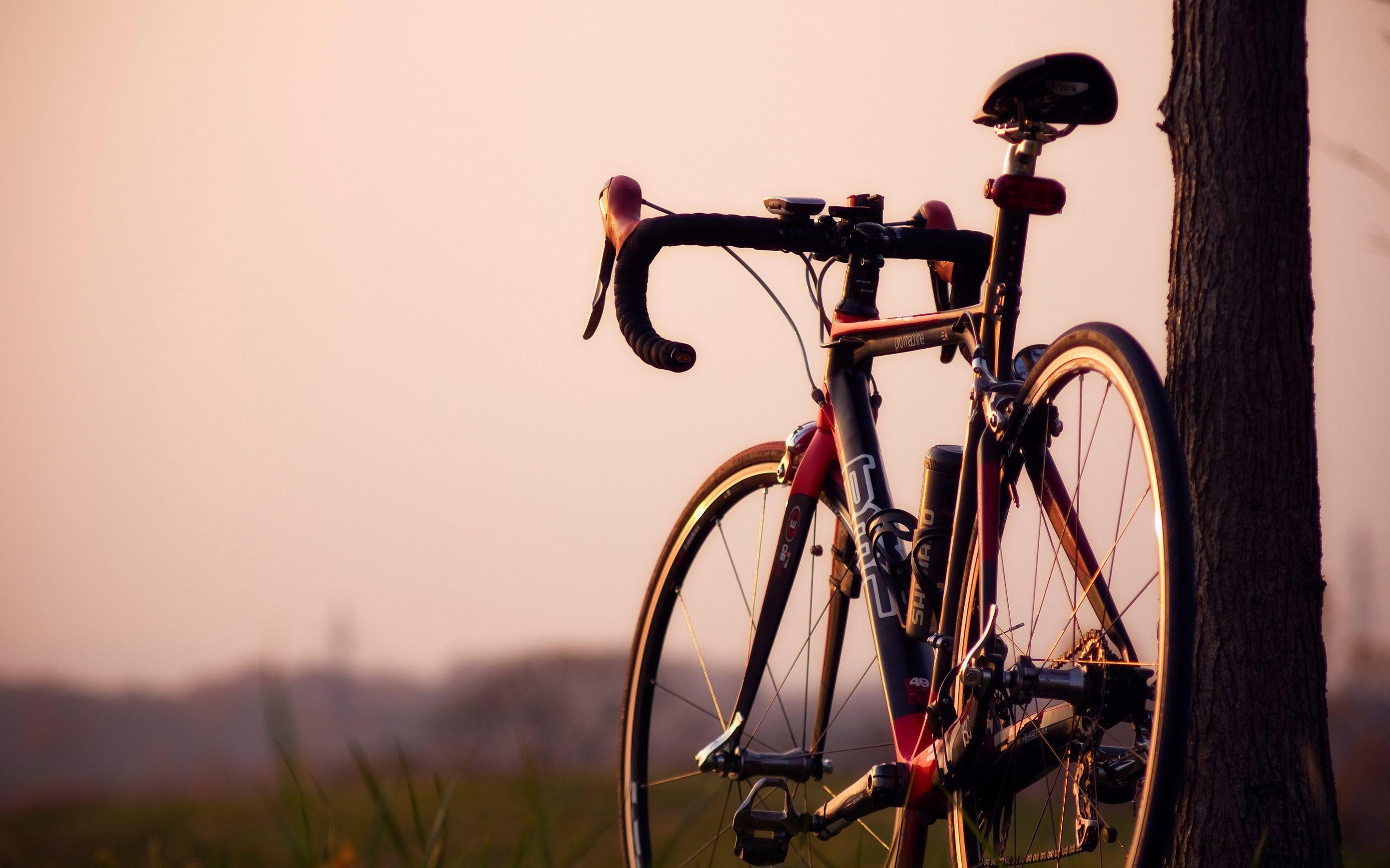 2880x1800 Hdwallpaperimage.com Bmc Pro Machine Bike Wide Hd Wallpaper