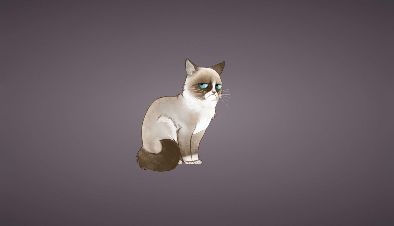 1336x768 grumpy cat, meme, cat HD Laptop Wallpaper, HD Vector 4K