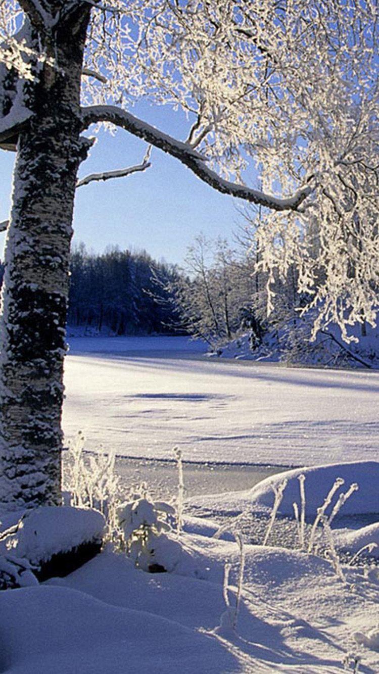 750x1334 Free download Winter Wallpaper For iPhone 6 Plus HD Wallpaper Background of Your [750x1334] for your Desktop, Mobile & Tablet. Explore Winter Wallpaper iPhone 6 Plus. iPhone 6 Wallpaper