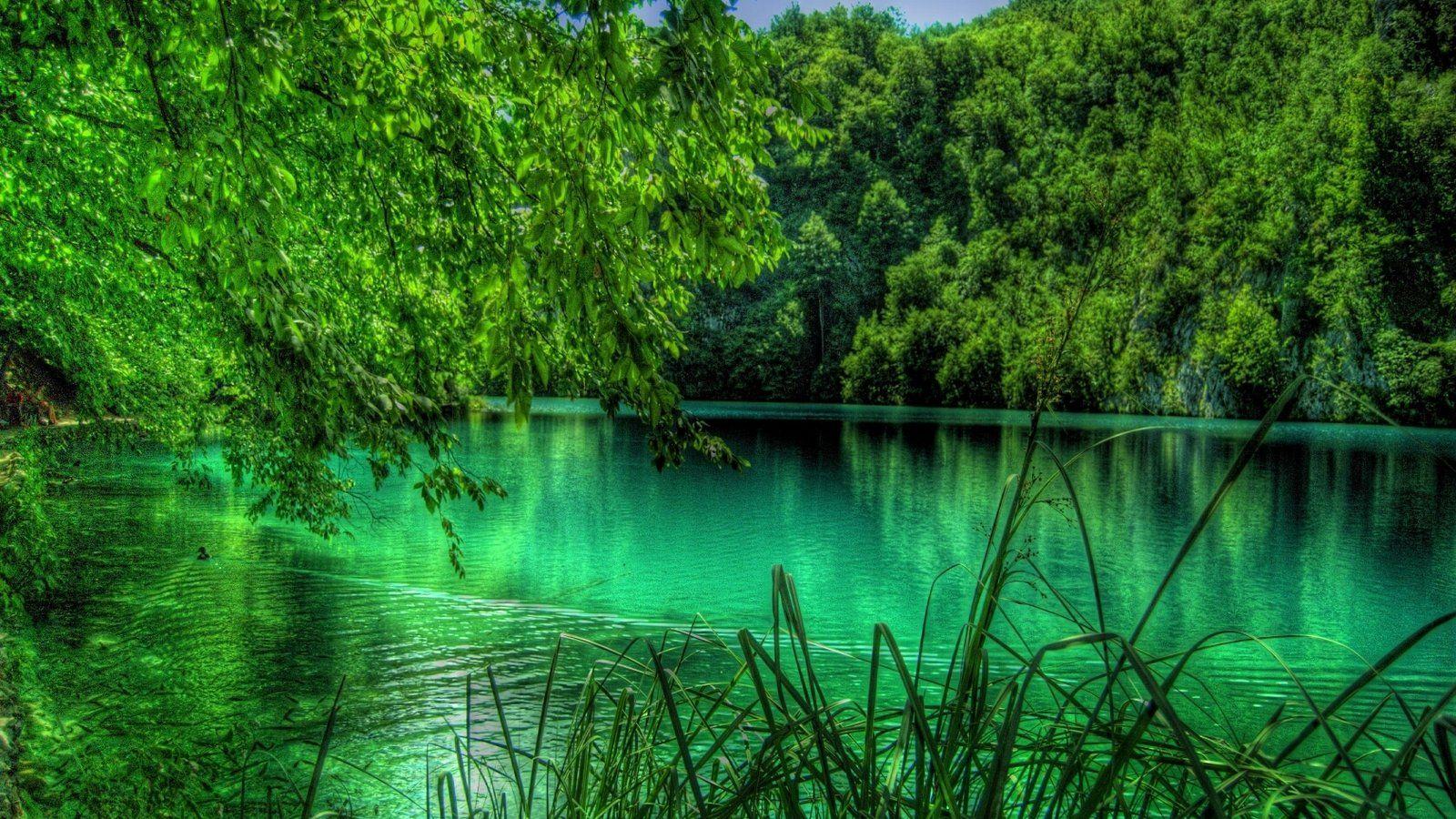 Emerald Green Wallpapers - Top Free Emerald Green Backgrounds