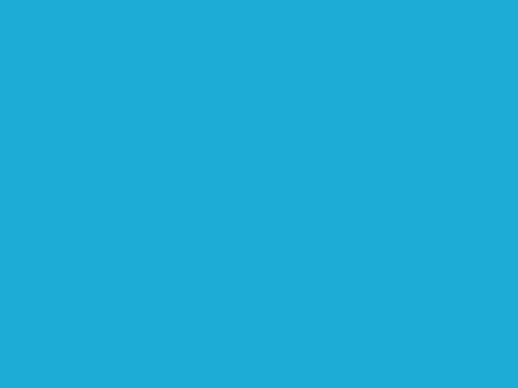 1024x768 Bright Background Blue. Bright Floral