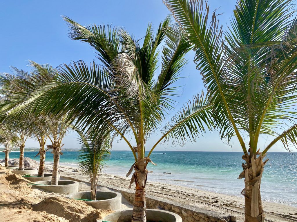 1024x768 One Day in Mogadishu, Somalia