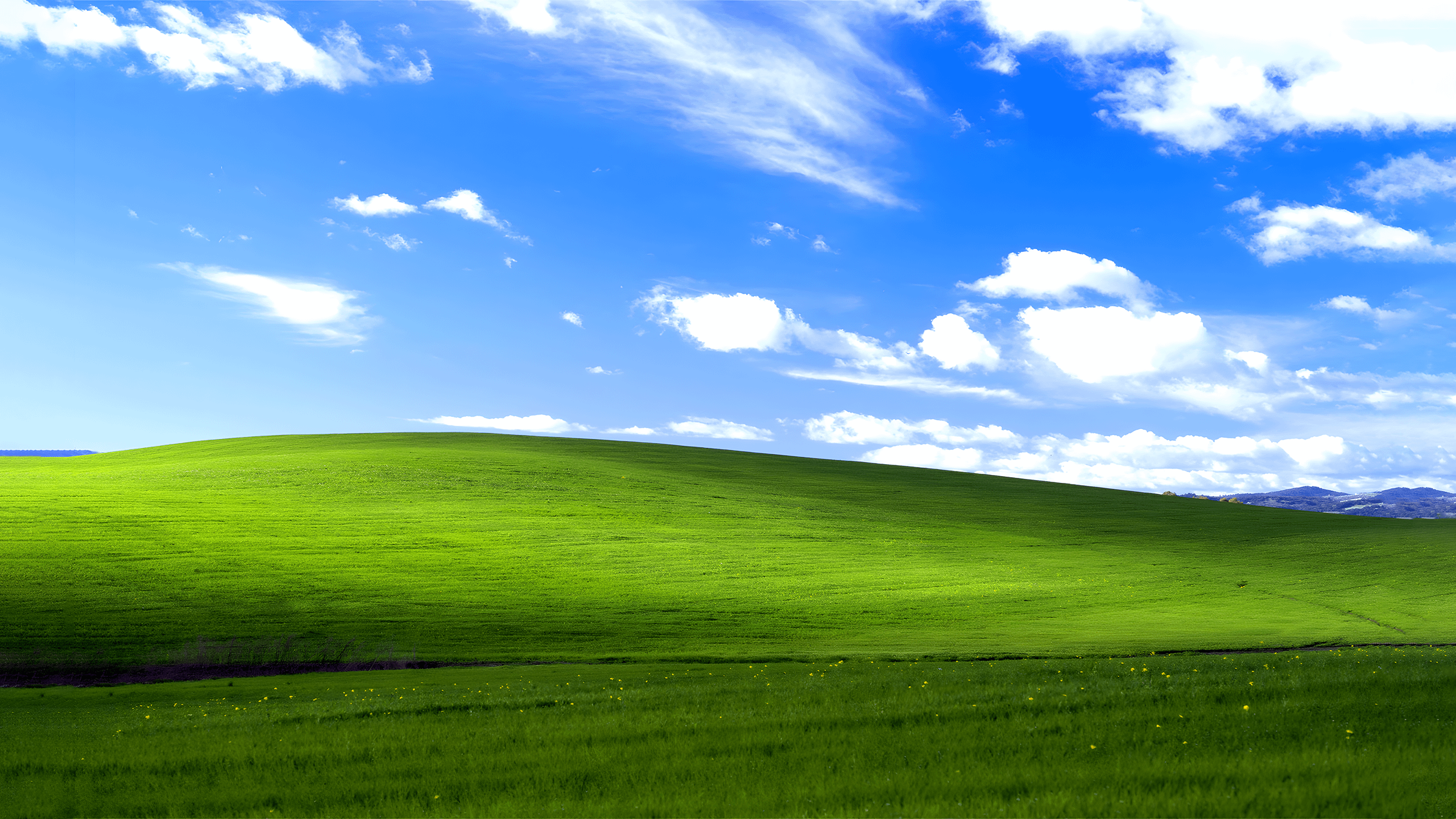 2560x1440 Windows XP Bliss Wallpaper HQ (2560x1440)