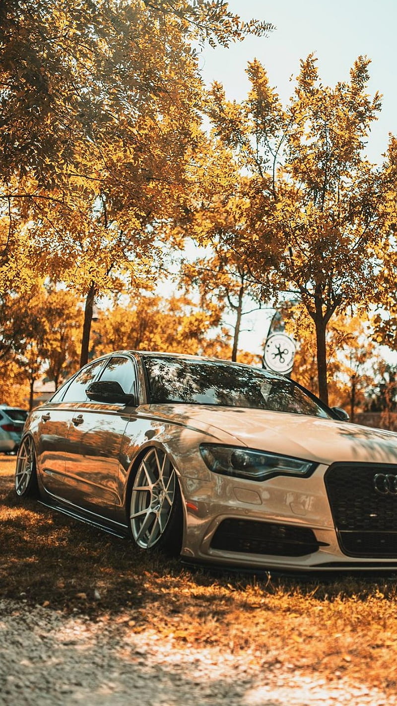 800x1422 Audi A accent, auto, autos, axi, carporn, carros, low, new, tuning, HD phone wallpaper