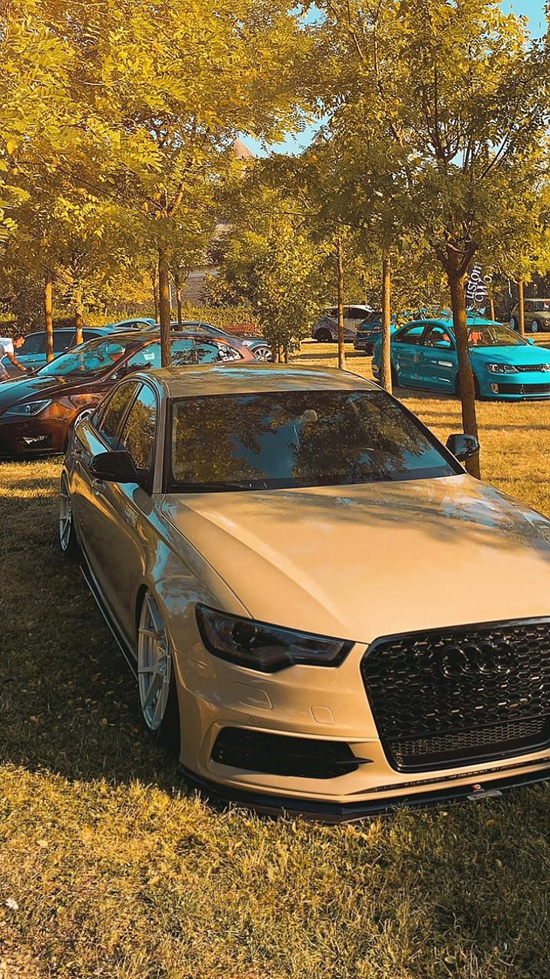 800x1422 Audi A6 low, carros, sport, tuning, HD phone wallpaper