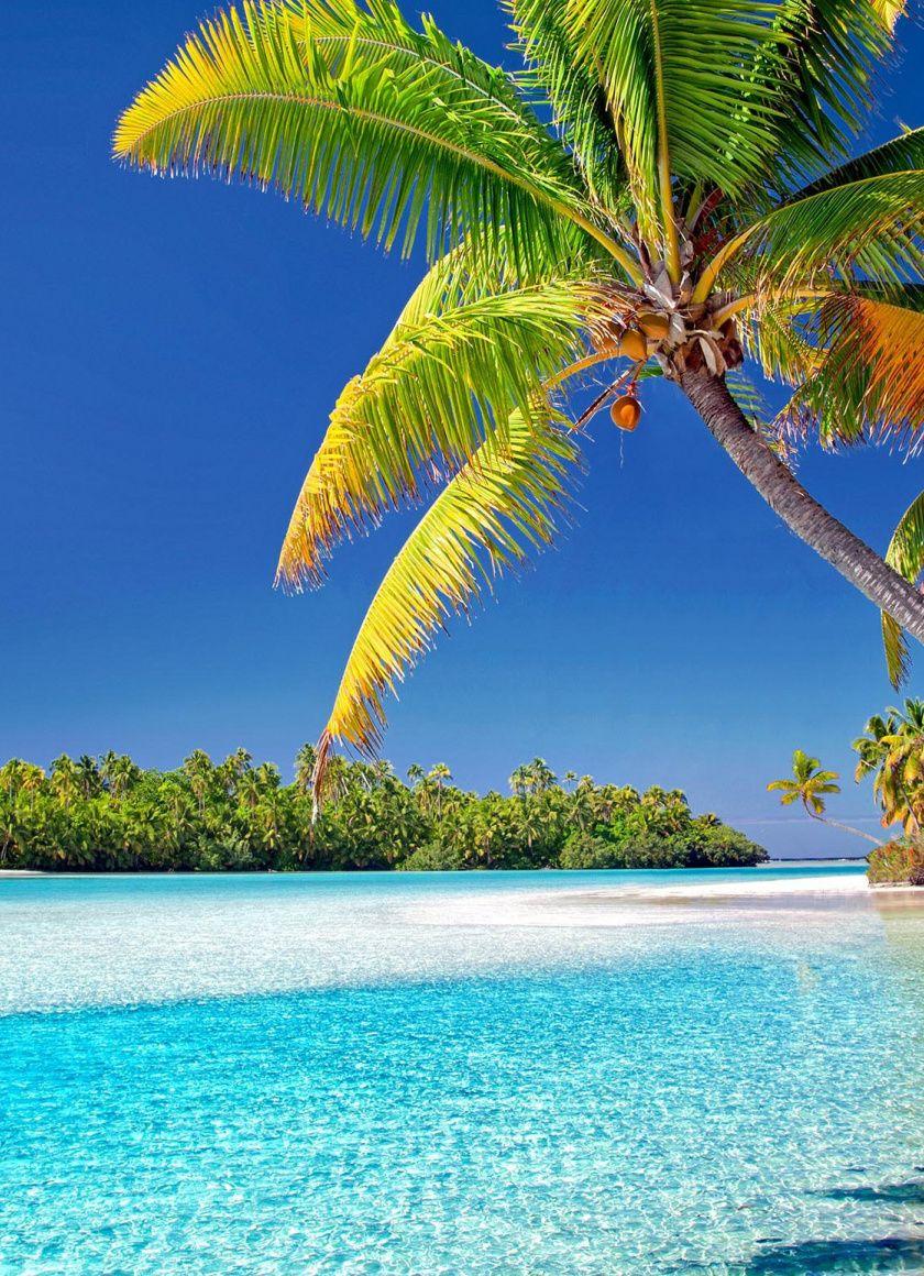 840x1160 Download Cook islands, beach, sunny day wallpaper, 840x1160