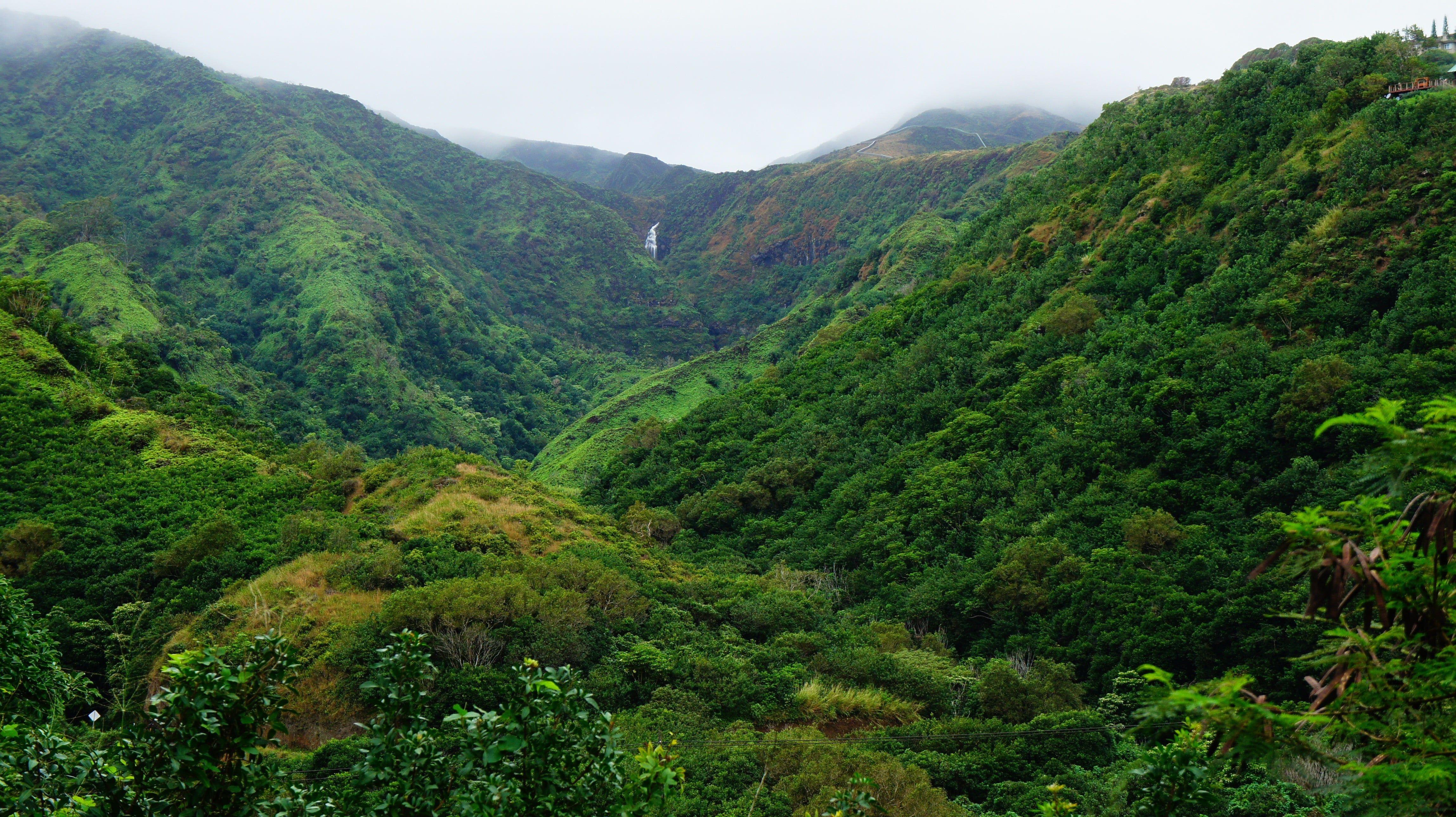4592x2576 Birds eye view of green mountains, Hawaii, Maui, tropical forest