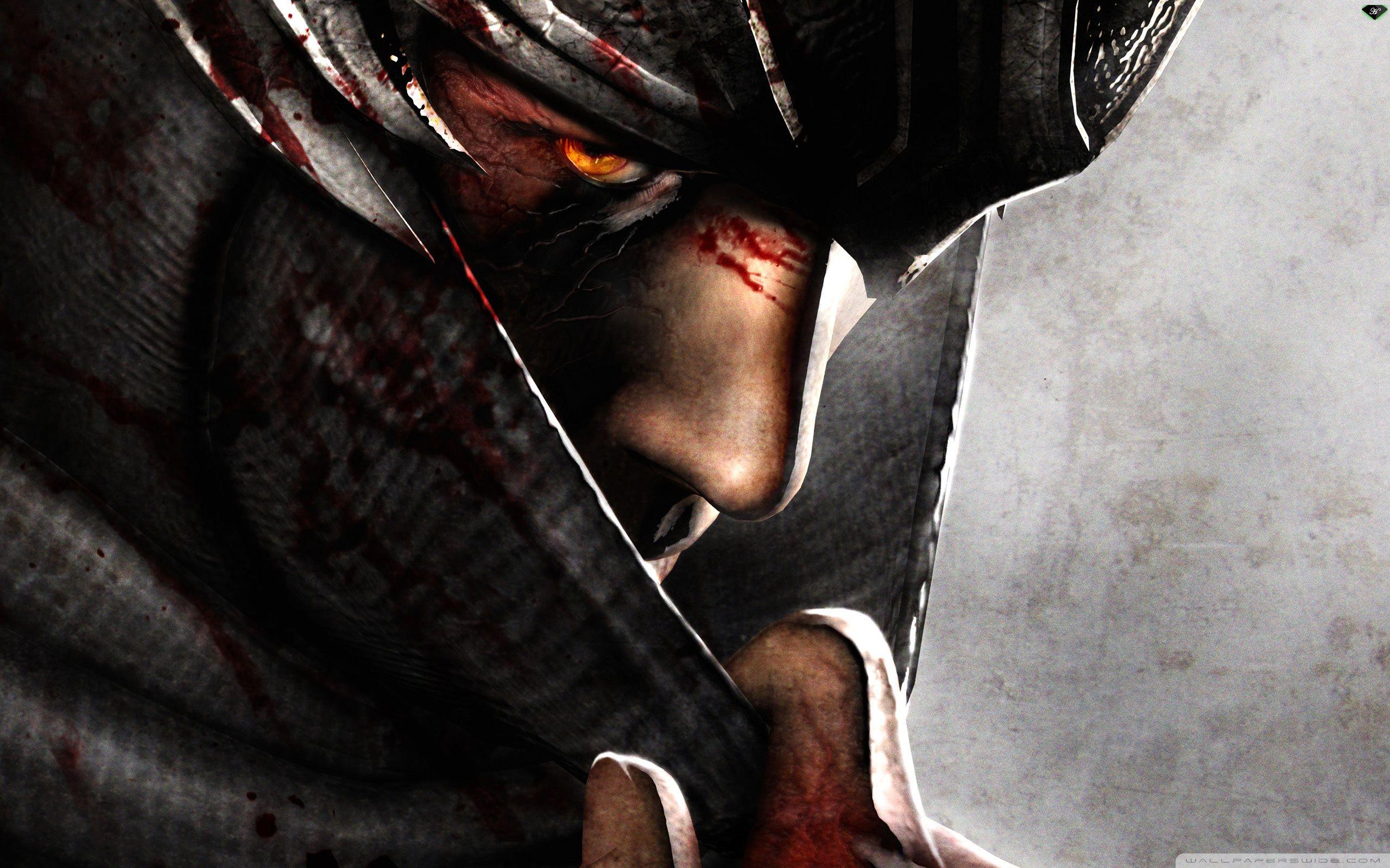 Game Ninja Gaiden Wallpapers Top Free Game Ninja Gaiden Backgrounds