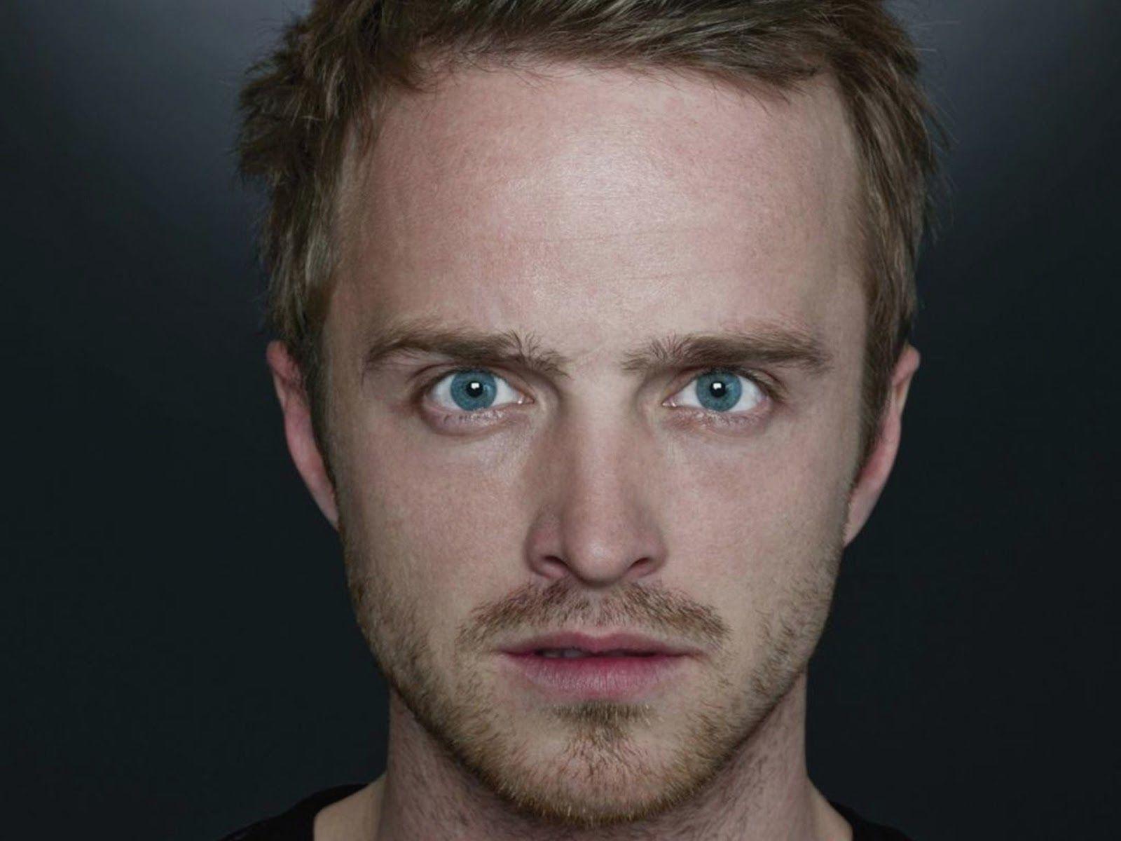 1600x1200 Aaron Paul Wallpaper. Aaron paul, Bojack horseman, Celebrity wallpaper