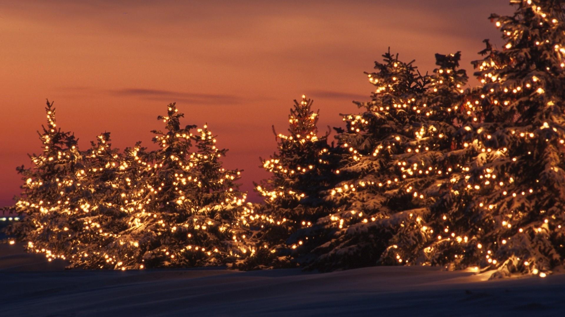 1920x1080 Christmas Lights Desktop Desktop Wallpaper Wp6004458