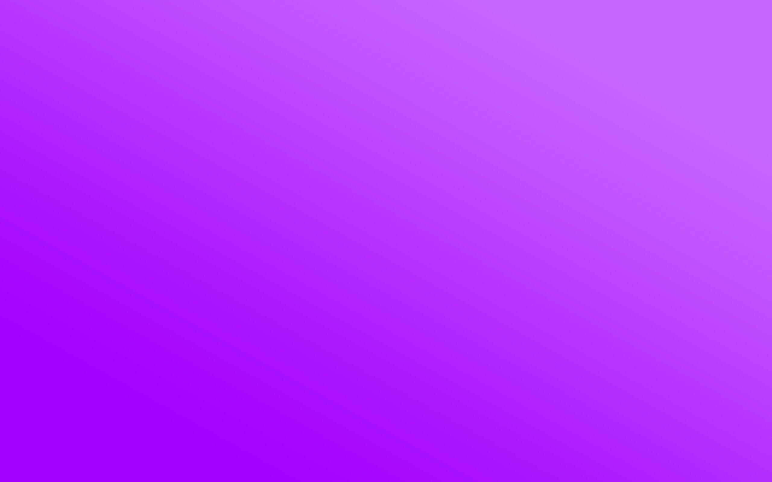 Hình nền màu tím sáng 2560x1600