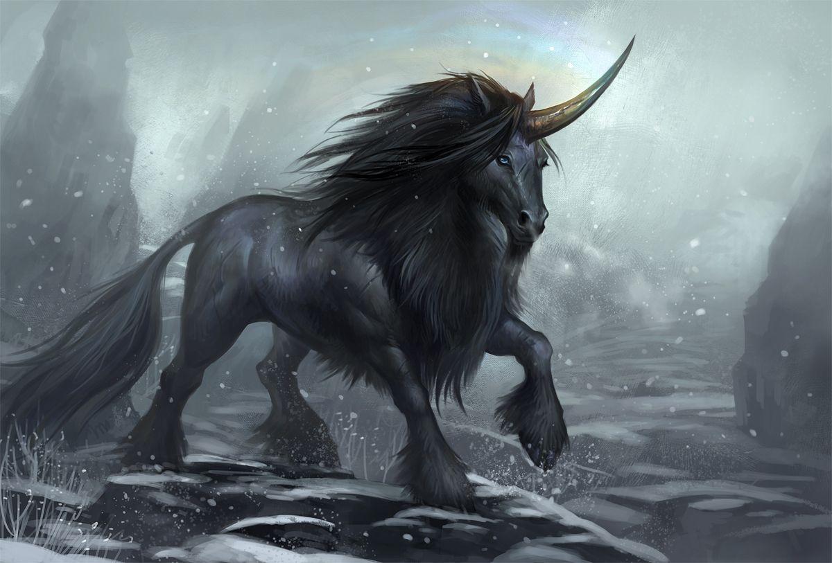 Black Unicorn Wallpapers - Top Free Black Unicorn Backgrounds - WallpaperAccess