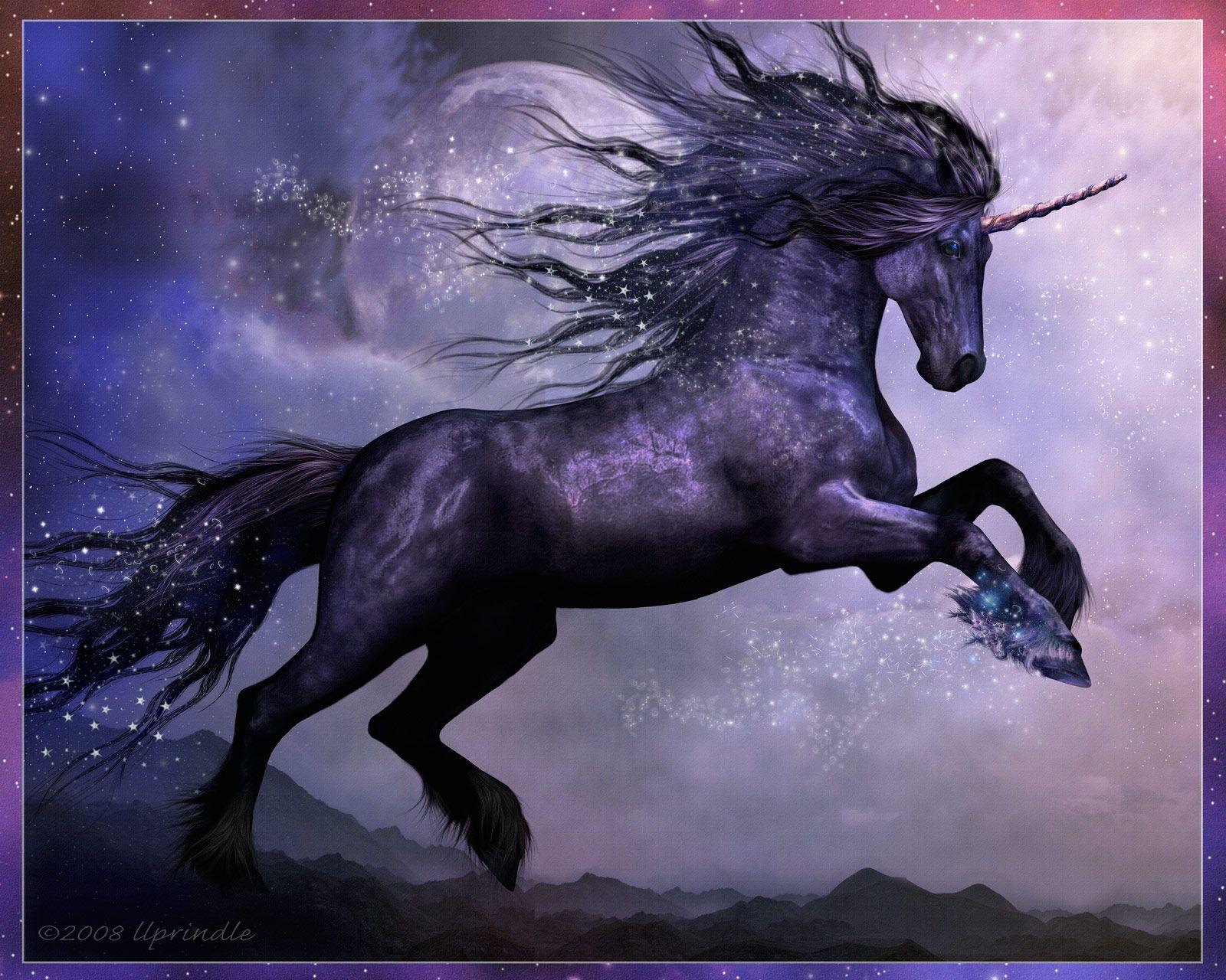 Black Unicorns Real