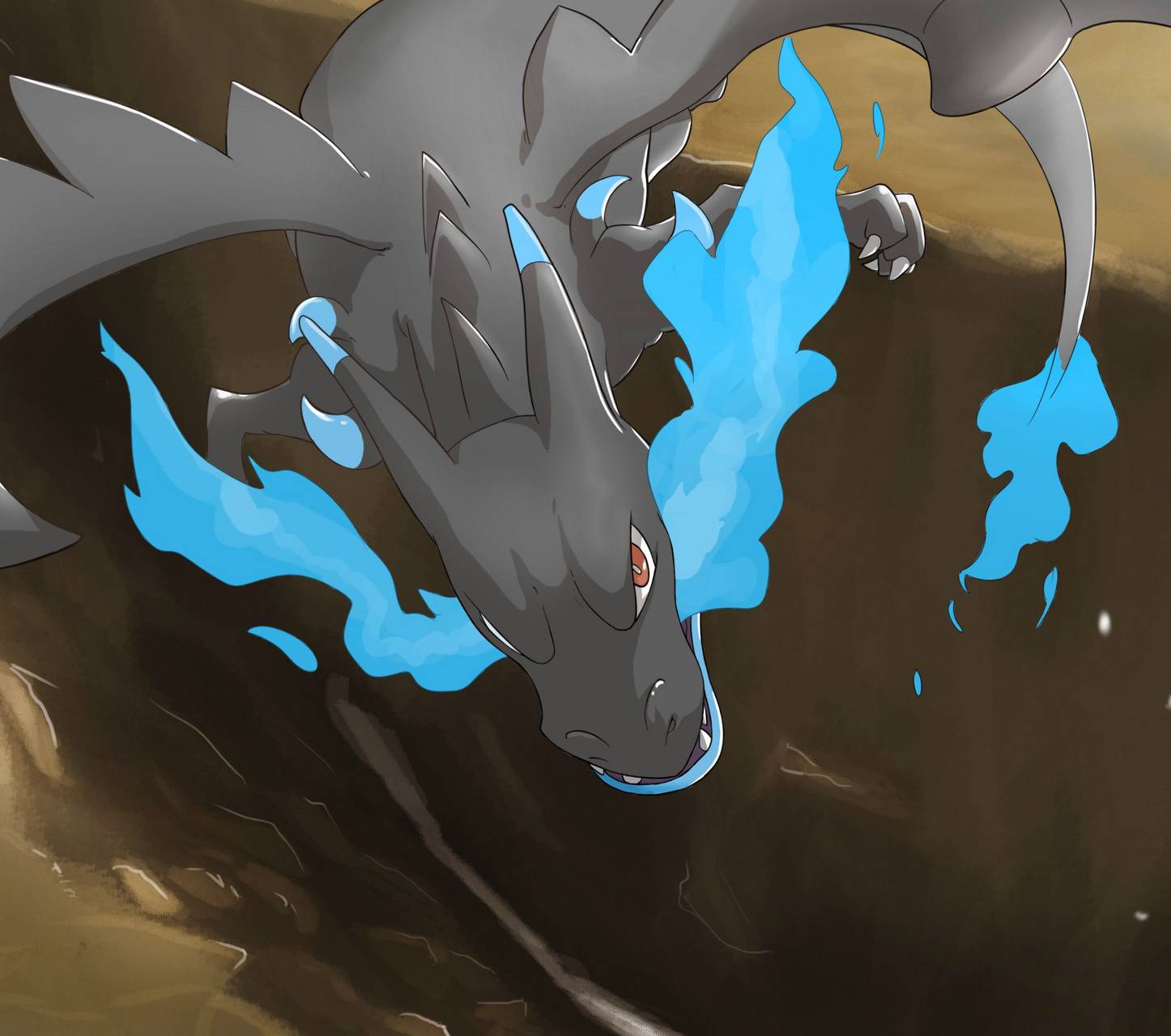 1446x1280 charizard x wallpaper