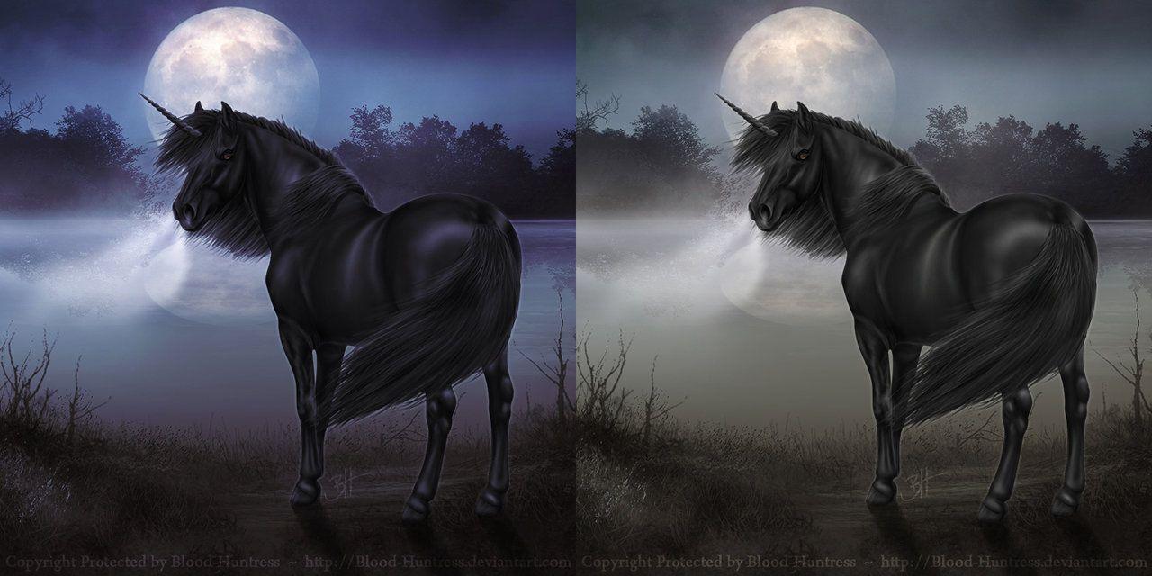 Black Unicorn Wallpapers - Top Free Black Unicorn Backgrounds - WallpaperAccess